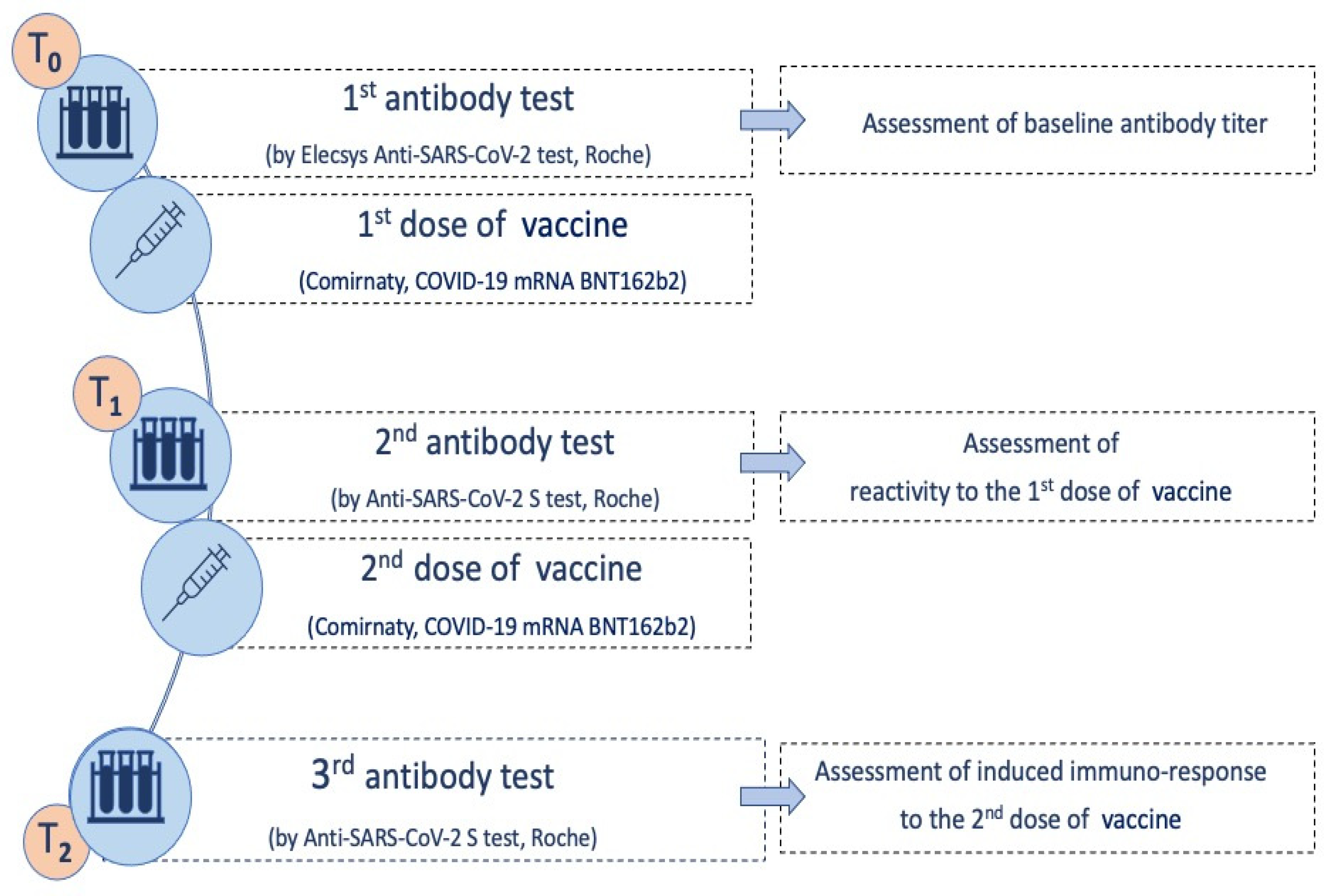 Antibody test after covid vaccine
