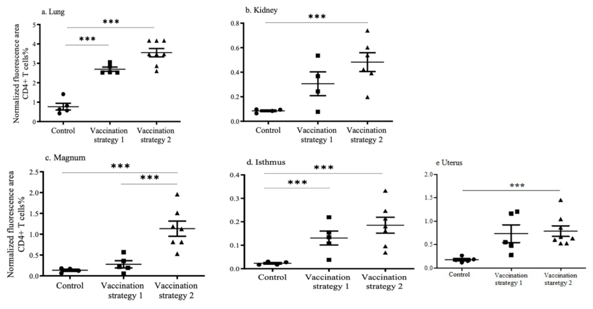Vaccines 09 00531 g003
