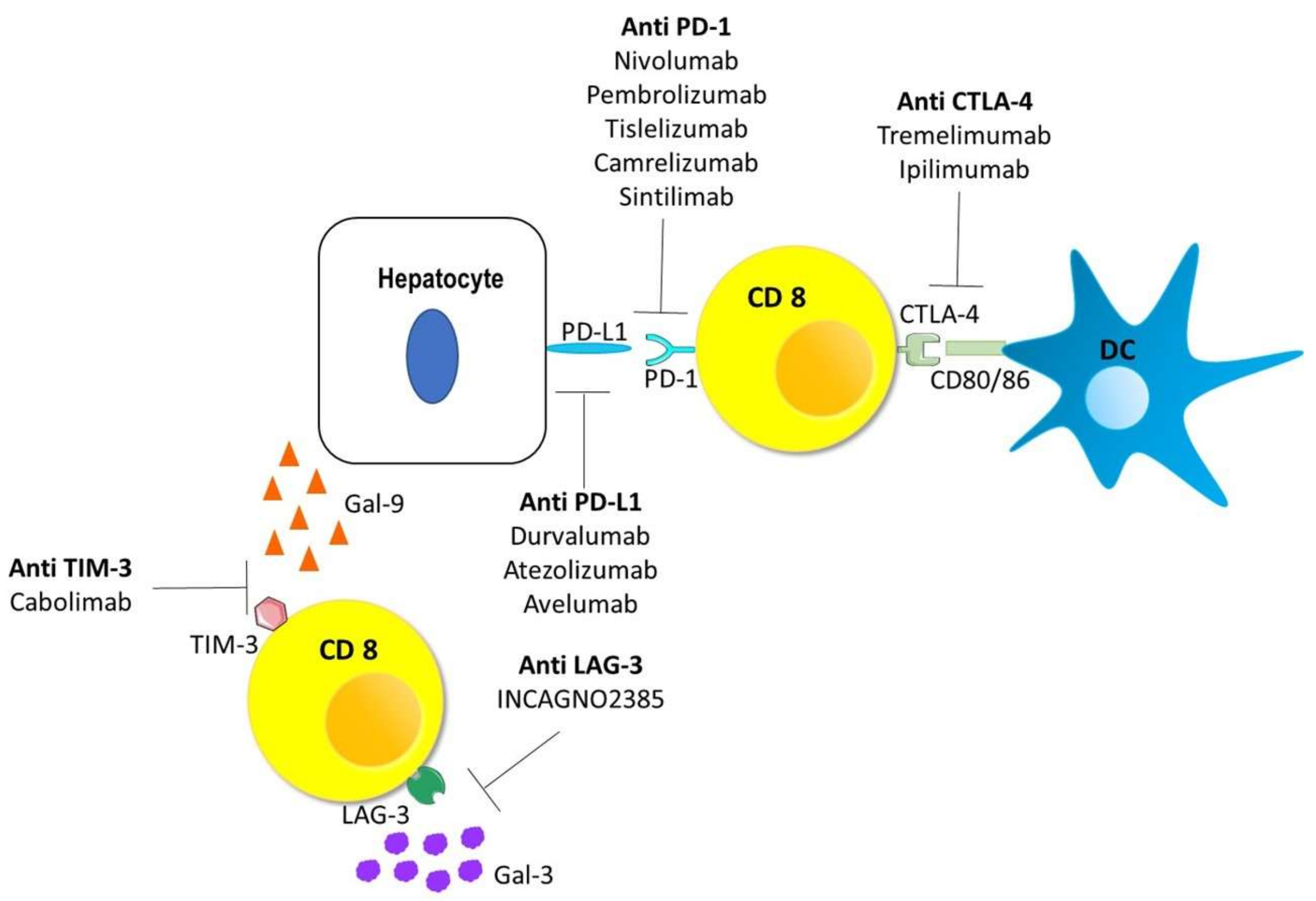 Vaccines 09 00532 g003