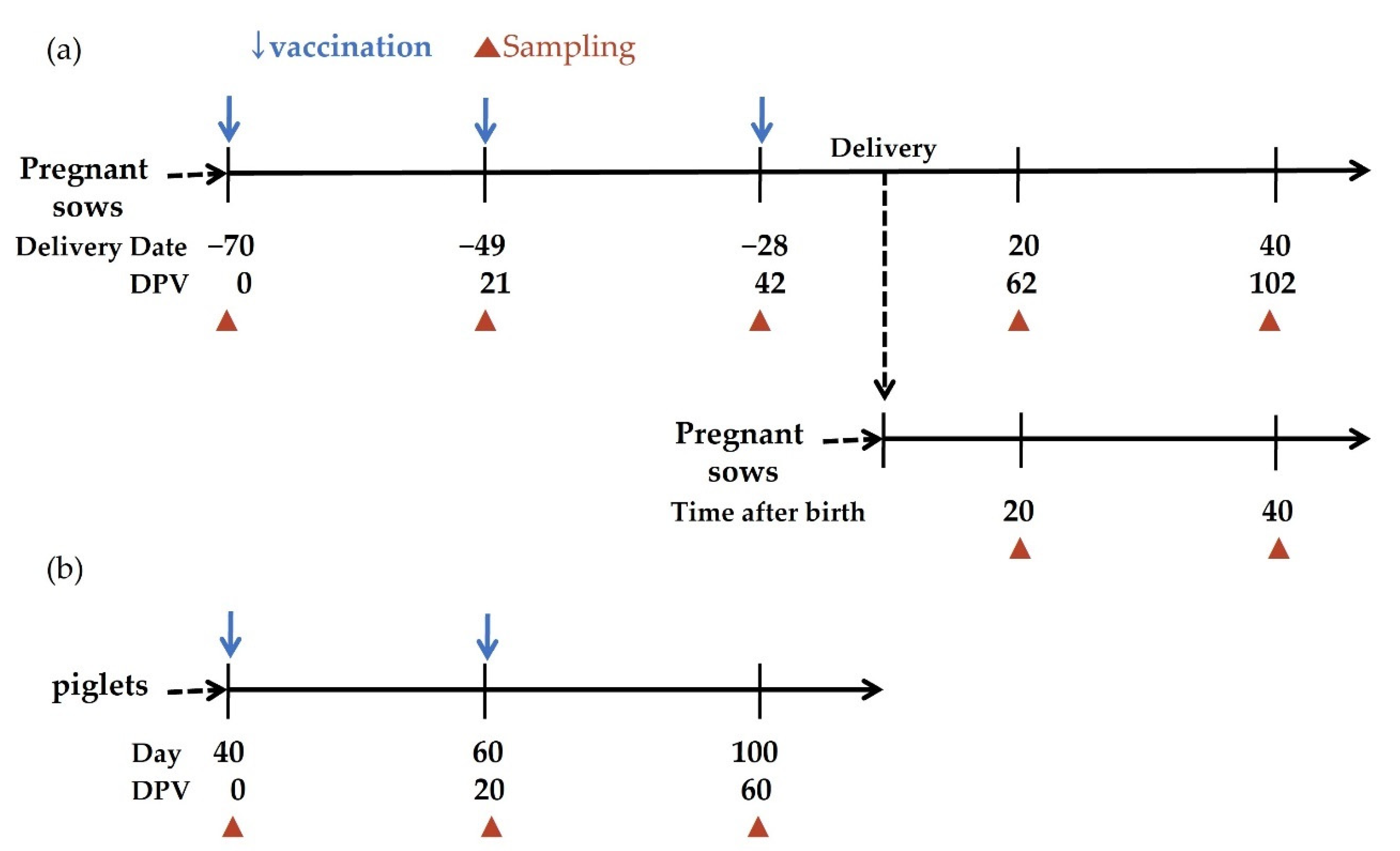 Vaccines 09 00537 g001 Vaccines 09 00537 g001