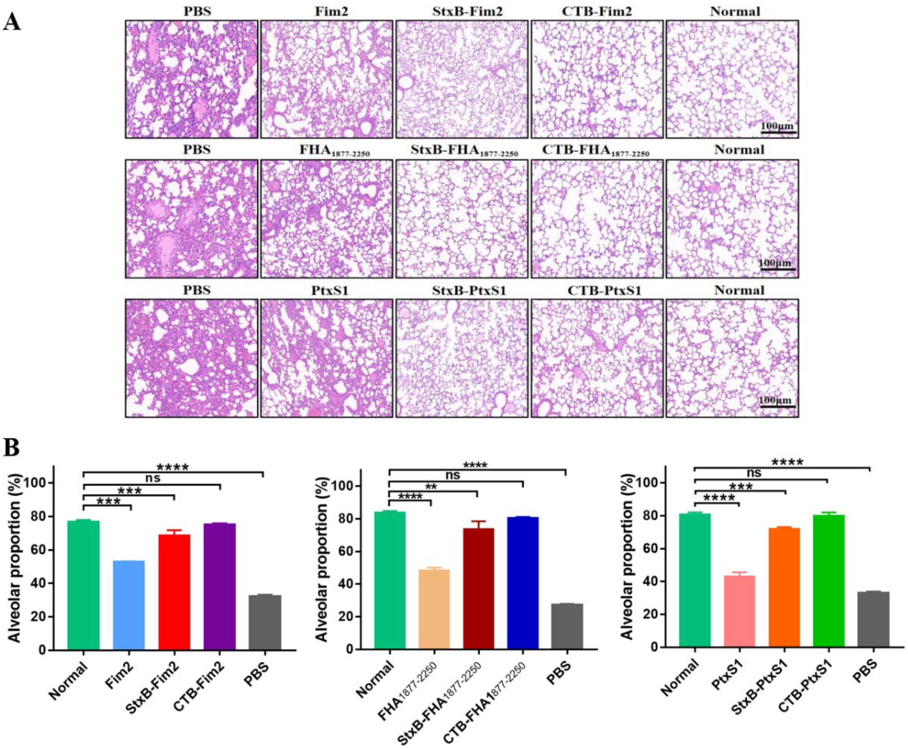 Vaccines 09 00542 g005