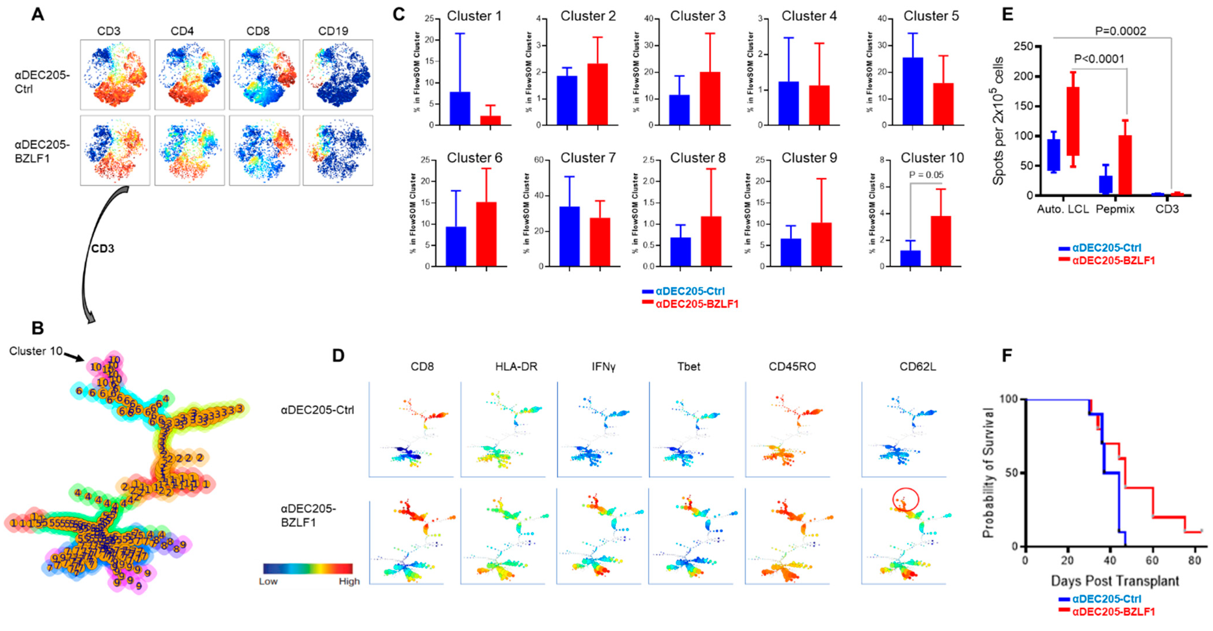 Vaccines 09 00555 g006 Vaccines 09 00555 g006