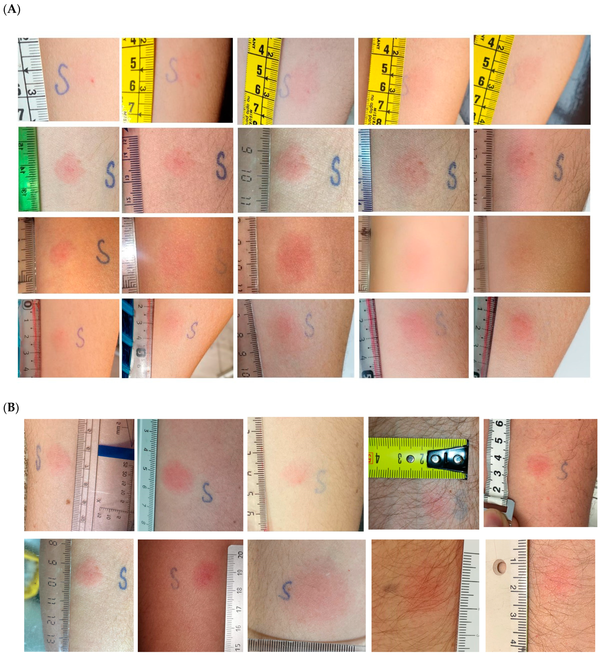 Vaccines 09 00575 g002