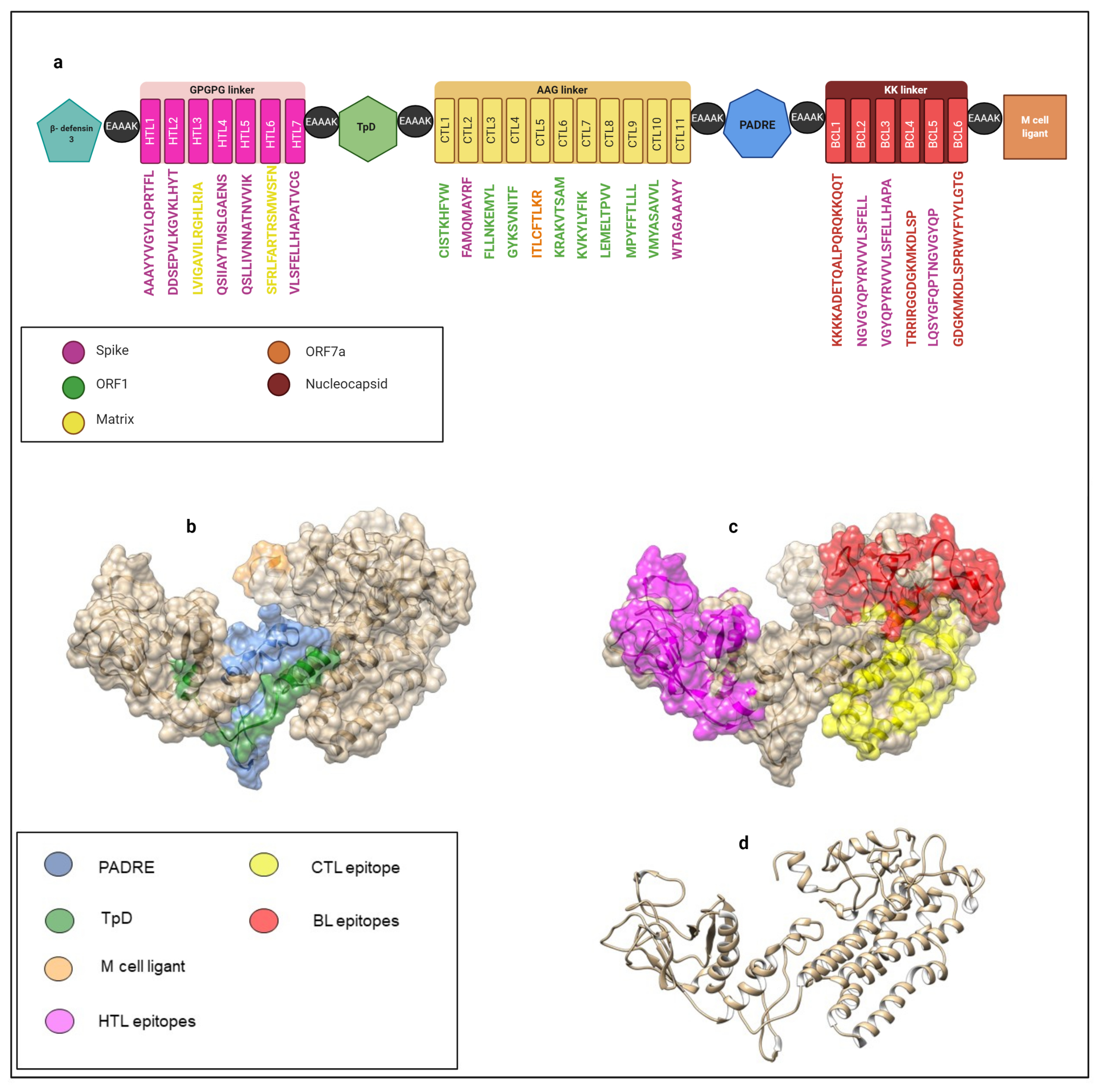 Vaccines 09 00581 g004 Vaccines 09 00581 g004
