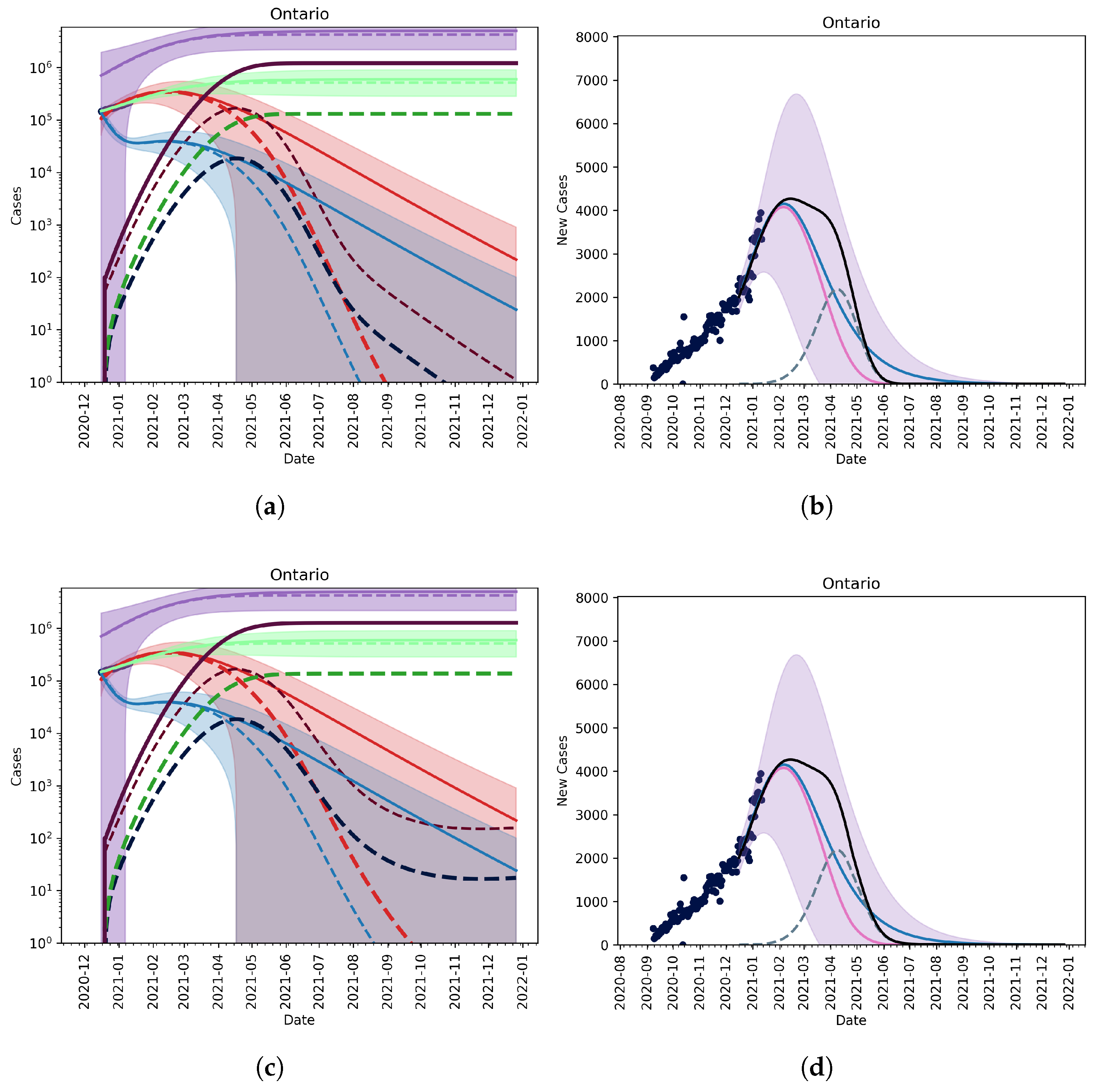 Vaccines 09 00592 g003a