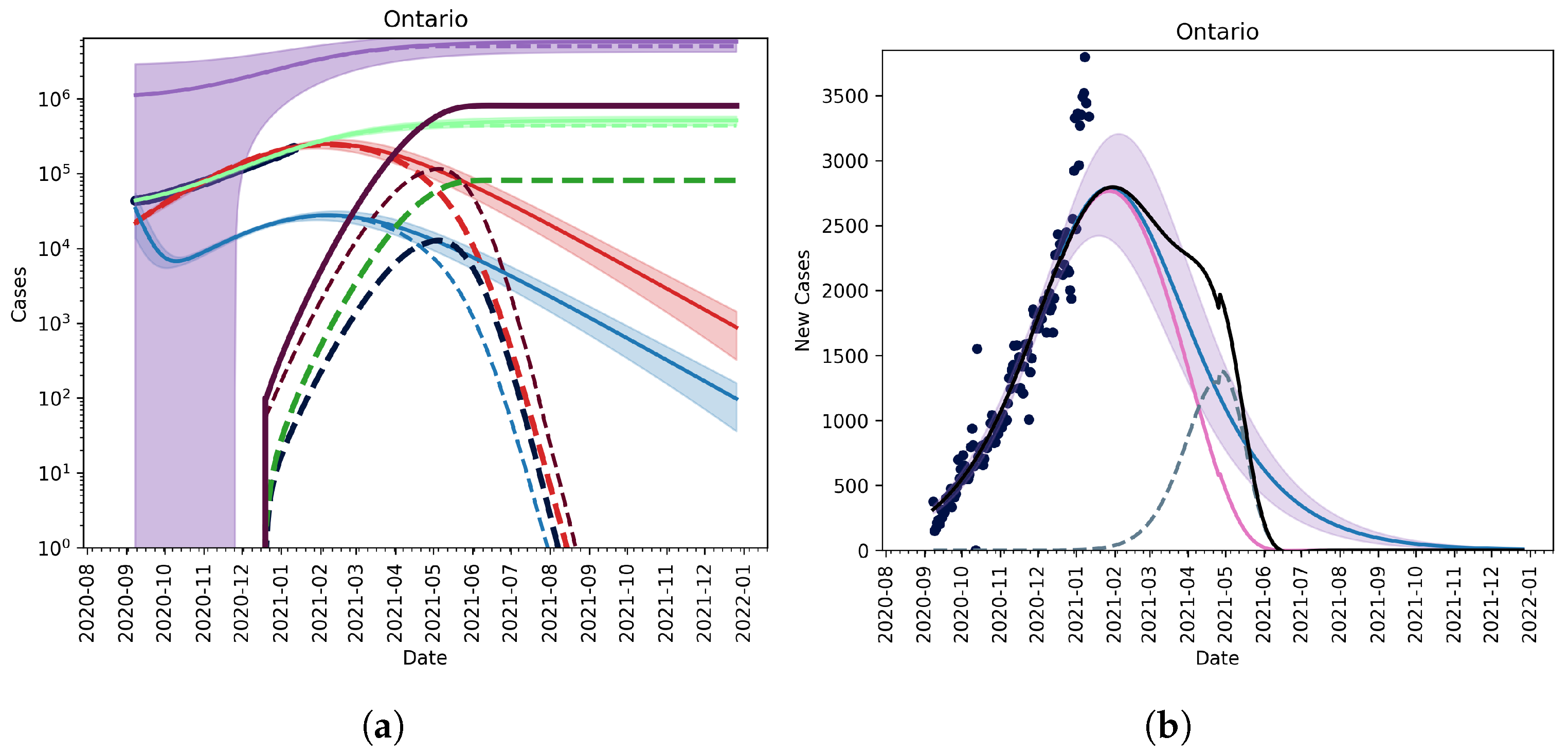 Vaccines 09 00592 g006