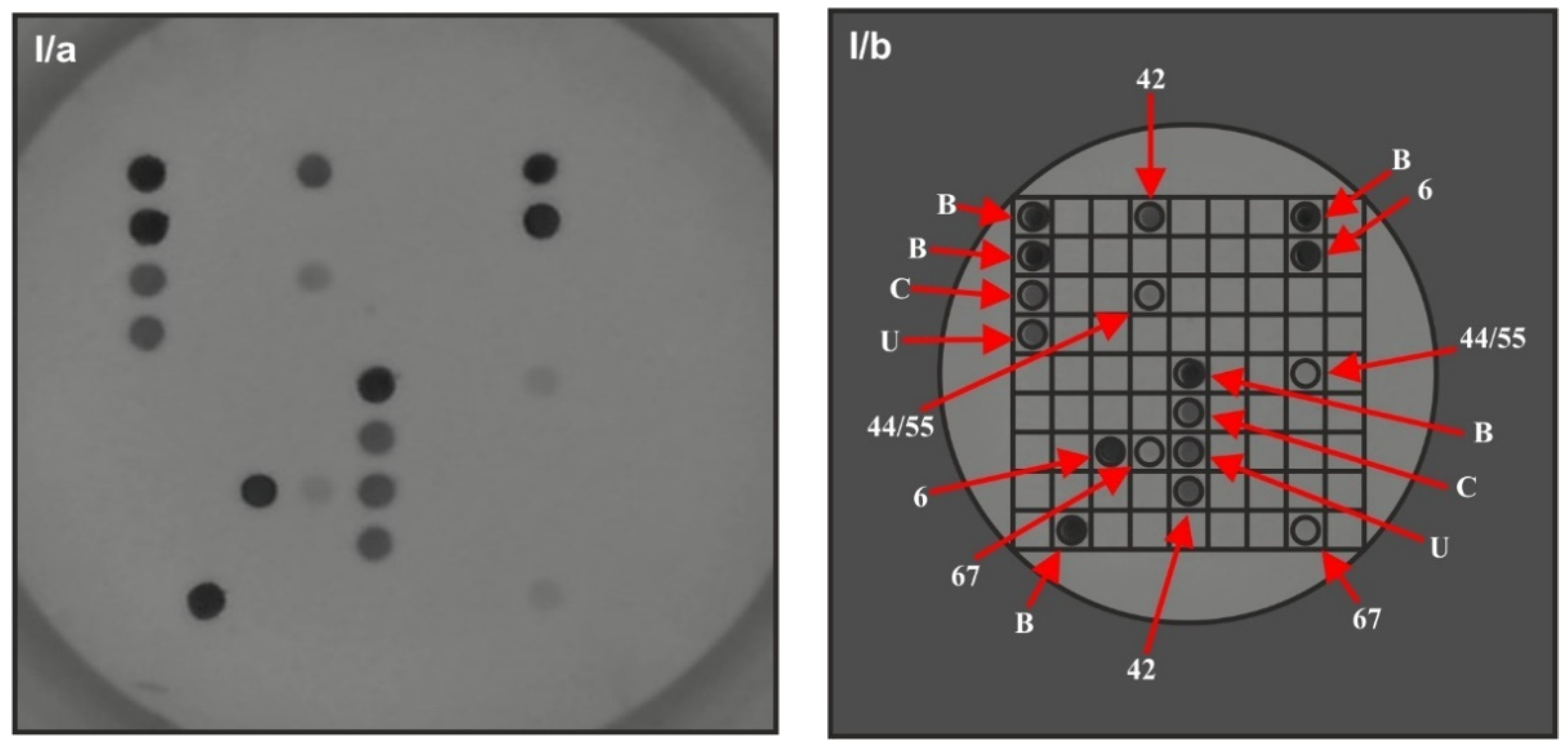 Vaccines 09 00604 g002a