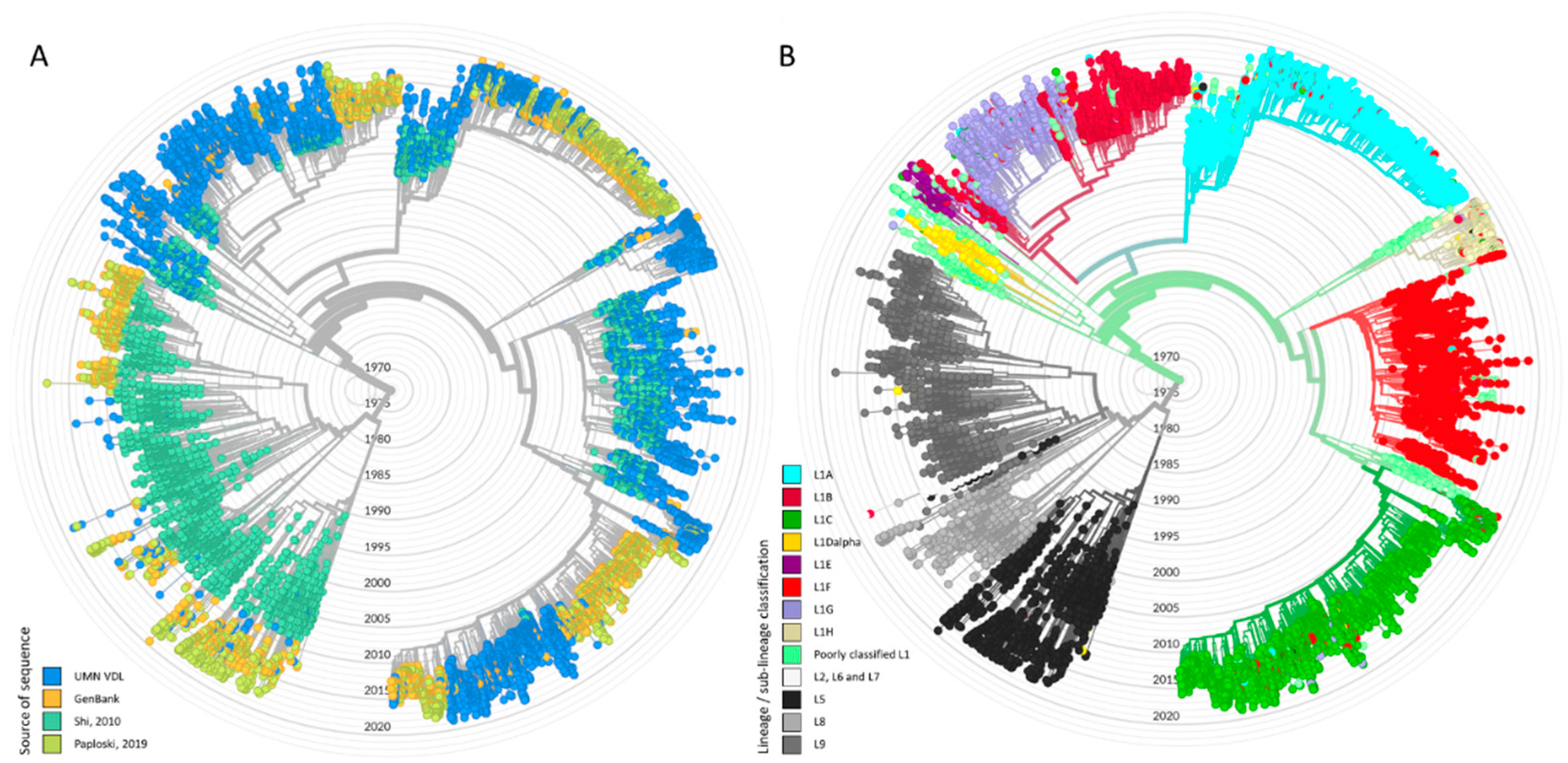 Vaccines 09 00608 g006 Vaccines 09 00608 g006