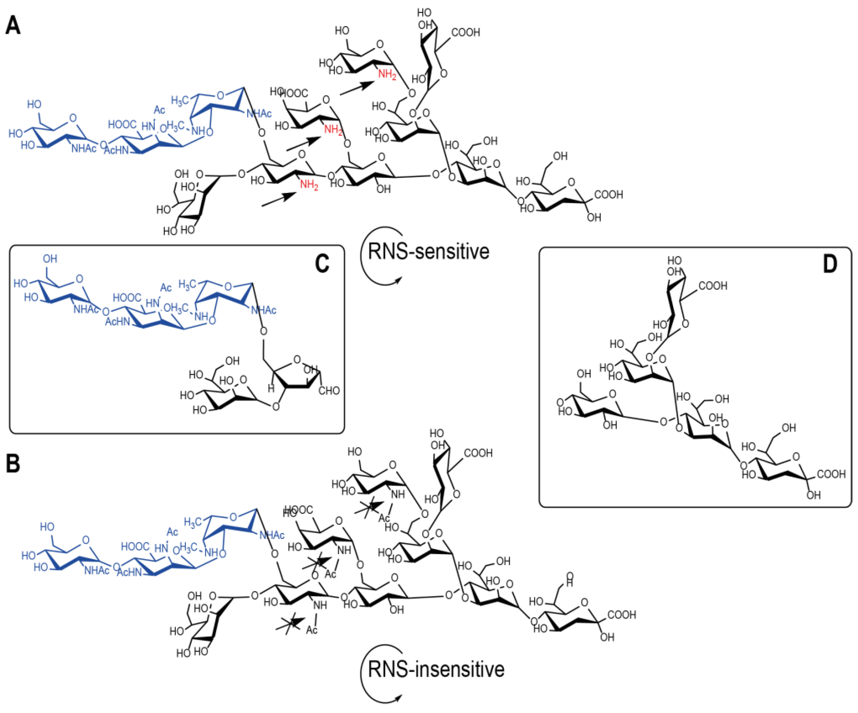 Vaccines 09 00645 g001