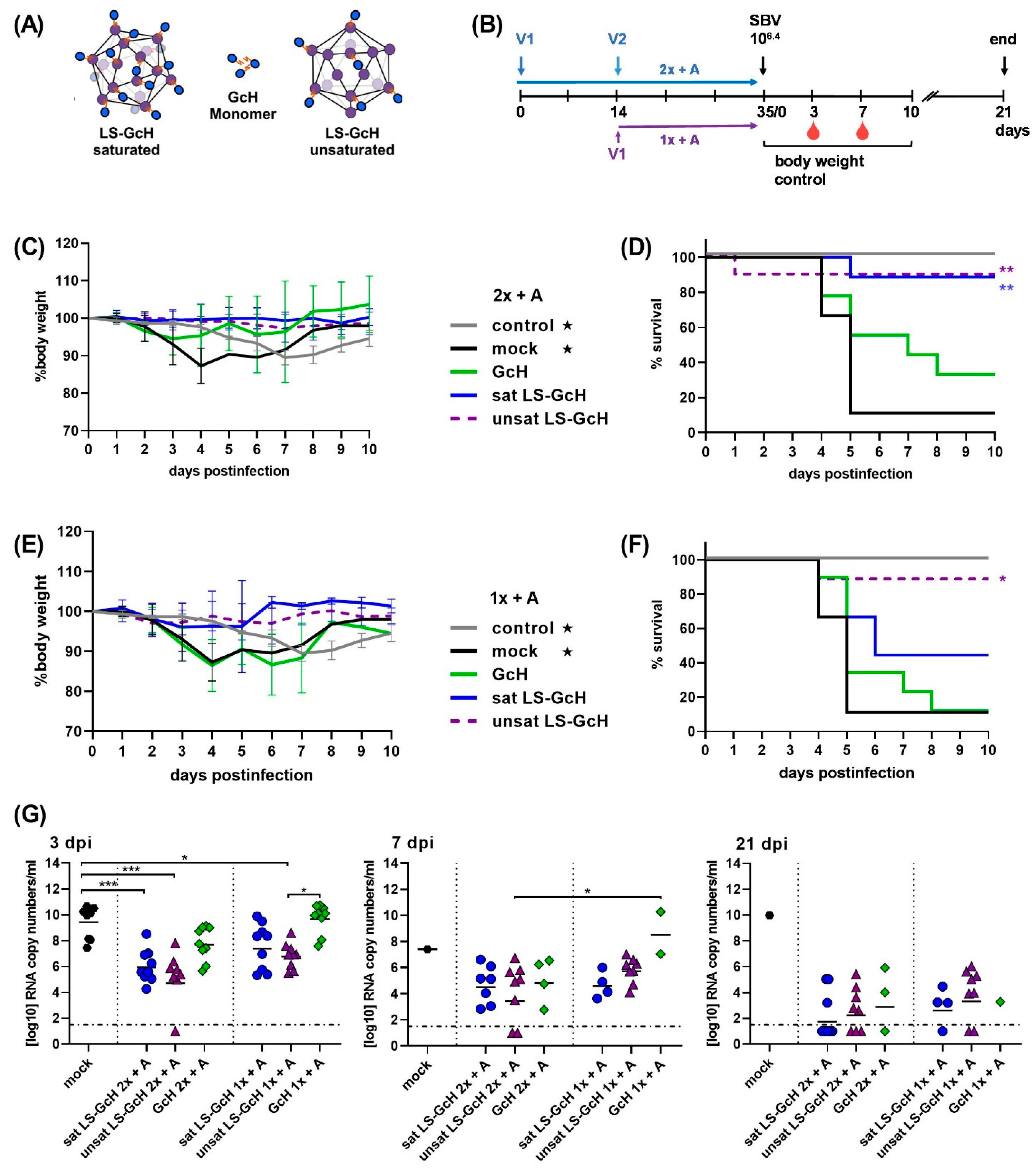 Vaccines 09 00651 g005 Vaccines 09 00651 g005