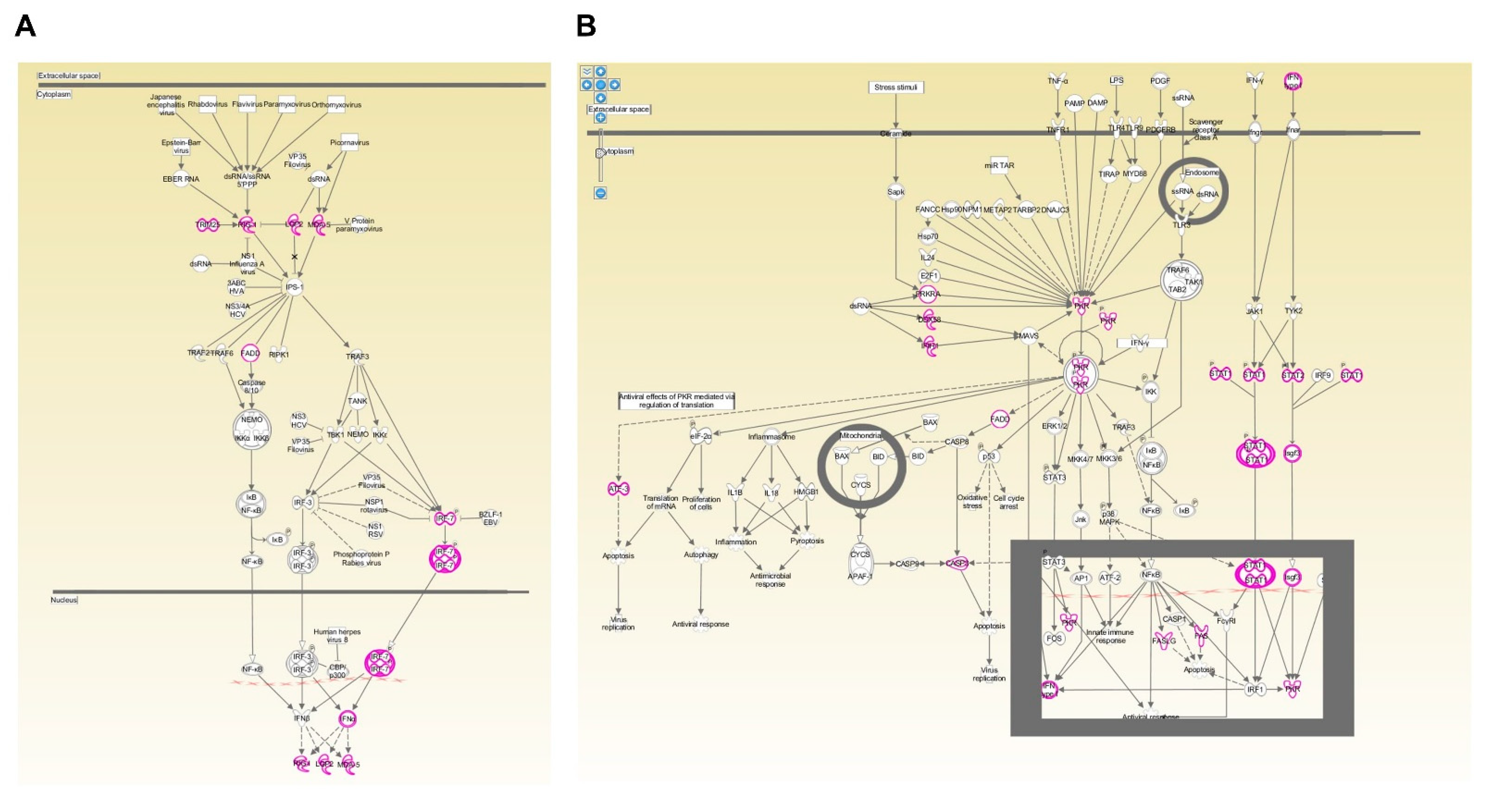Vaccines 09 00664 g0a5 Vaccines 09 00664 g0a5