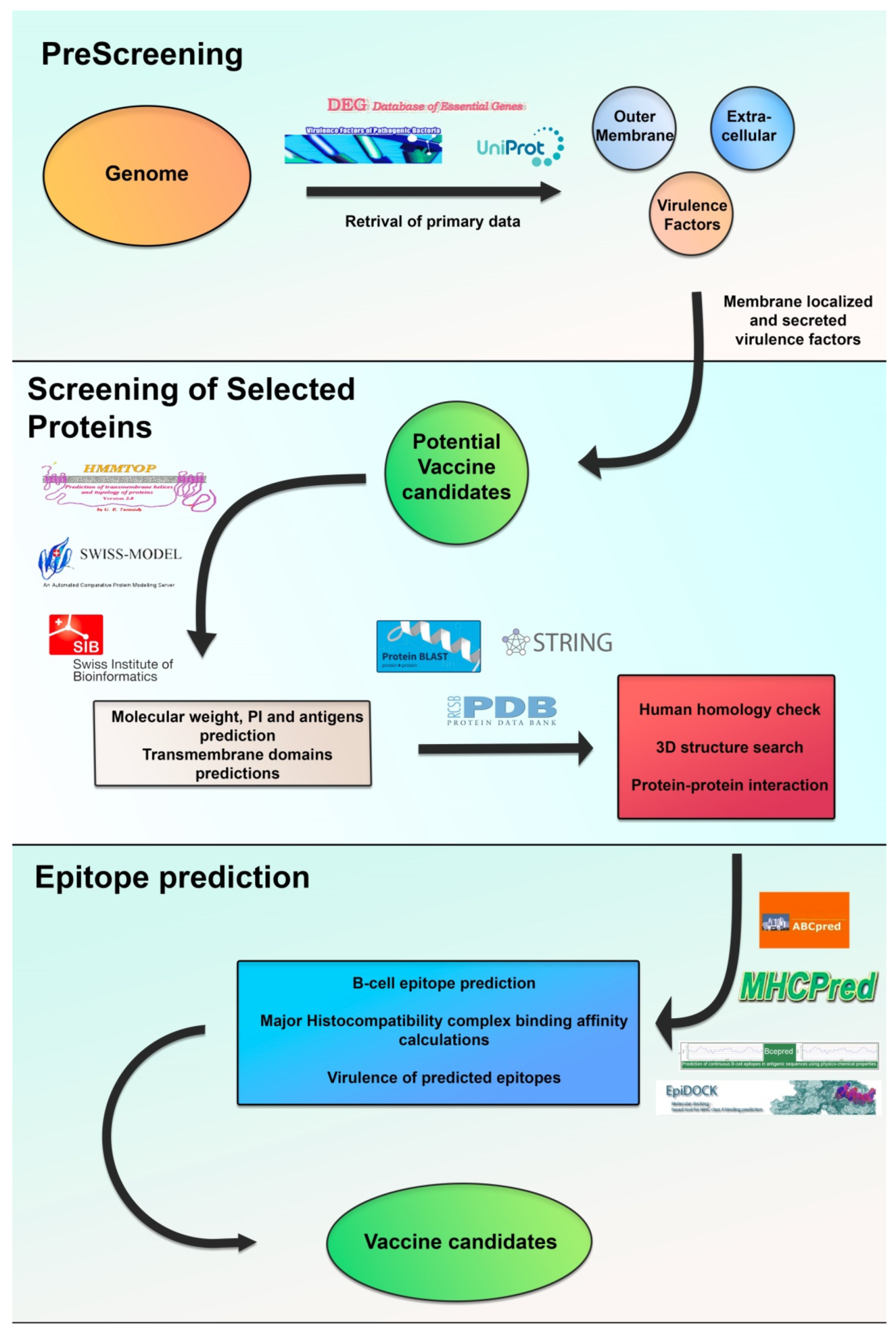 Vaccines 09 00670 g002