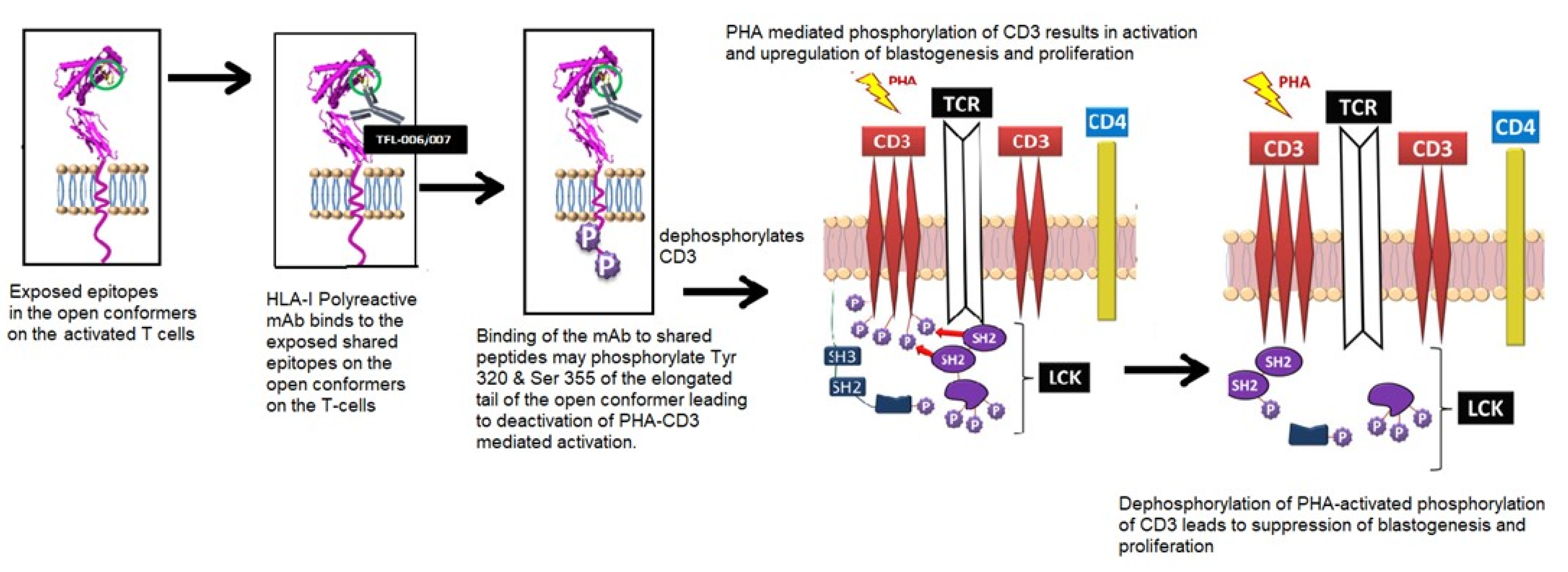 Vaccines 09 00680 g009 Vaccines 09 00680 g009