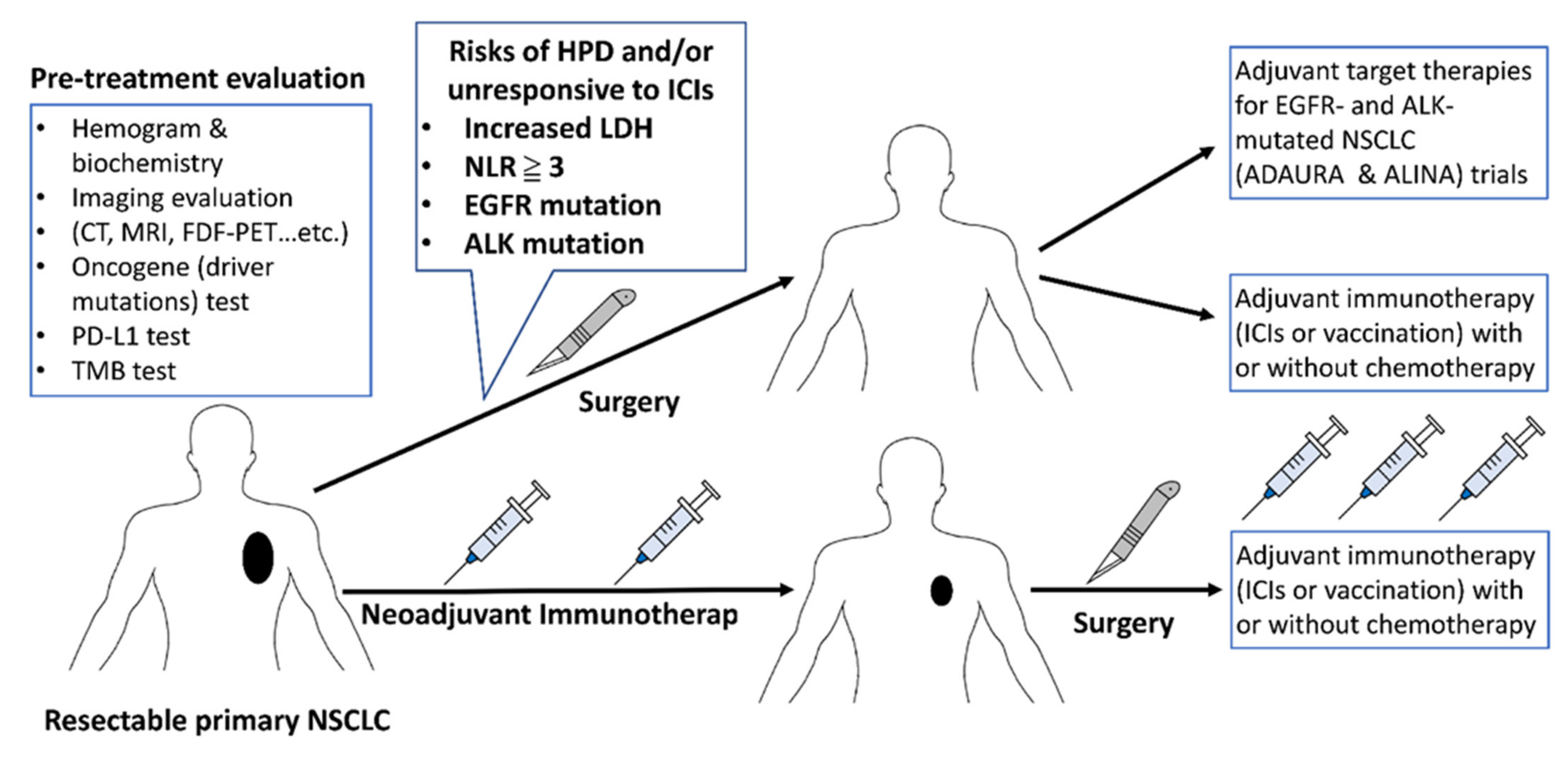 Vaccines 09 00689 g002 550