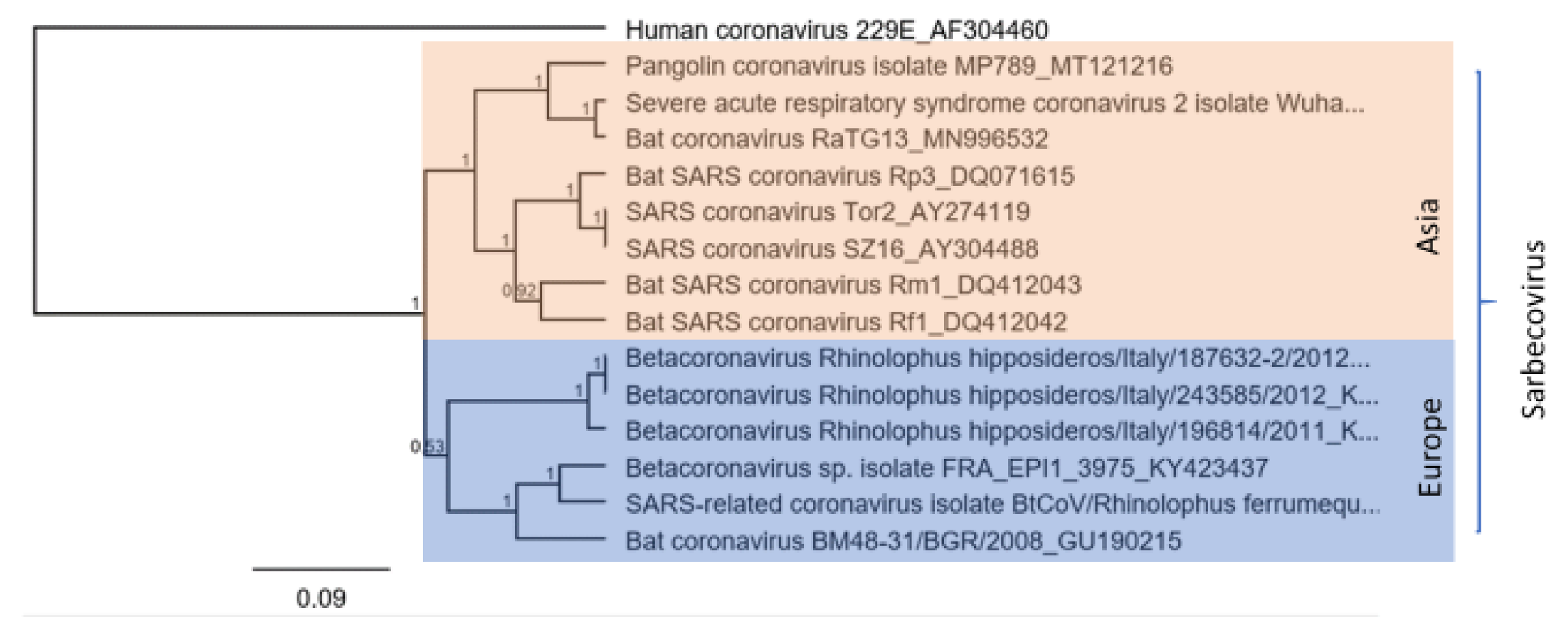 Vaccines 09 00690 g006 550