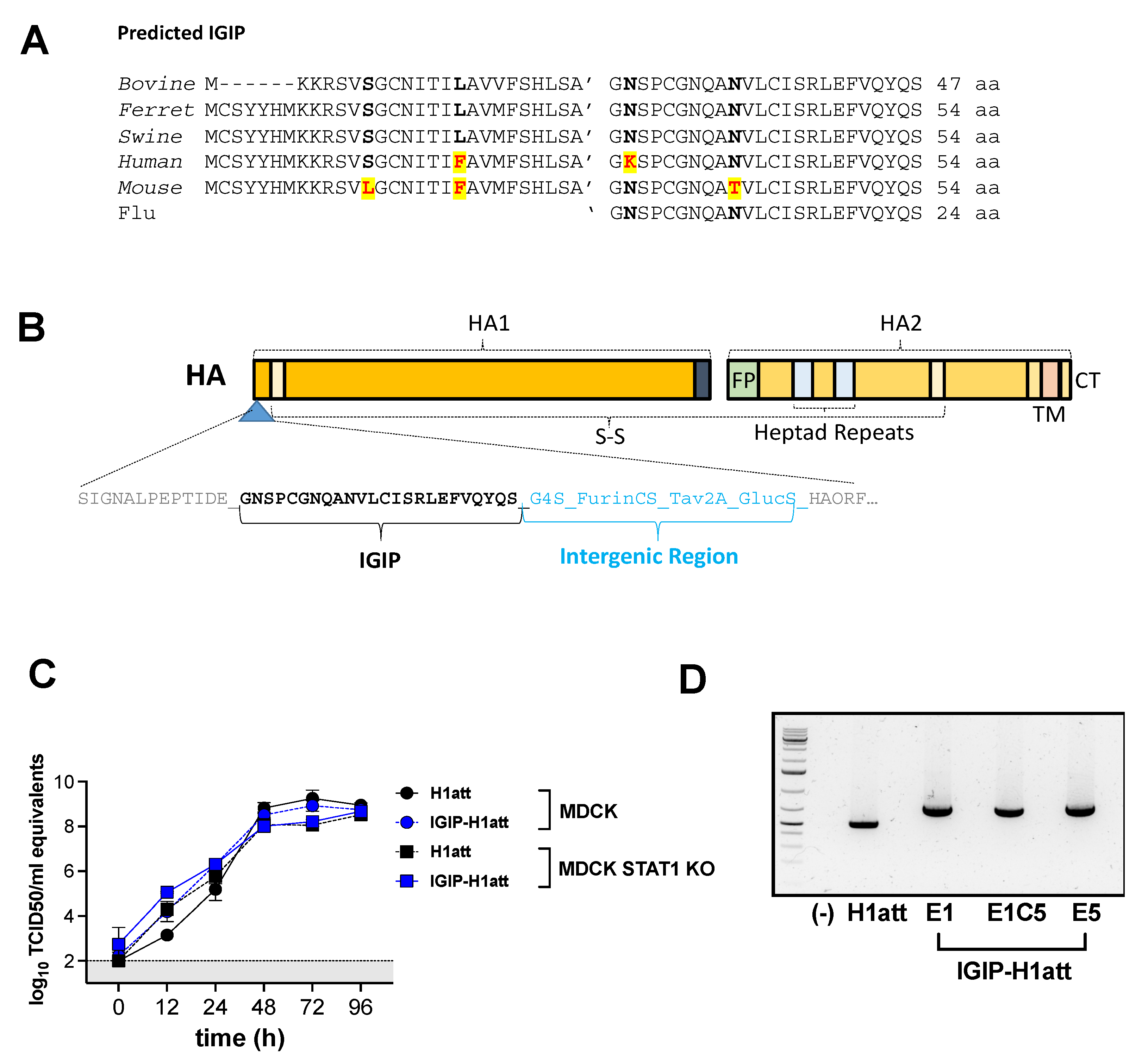 Vaccines 09 00703 g001 550