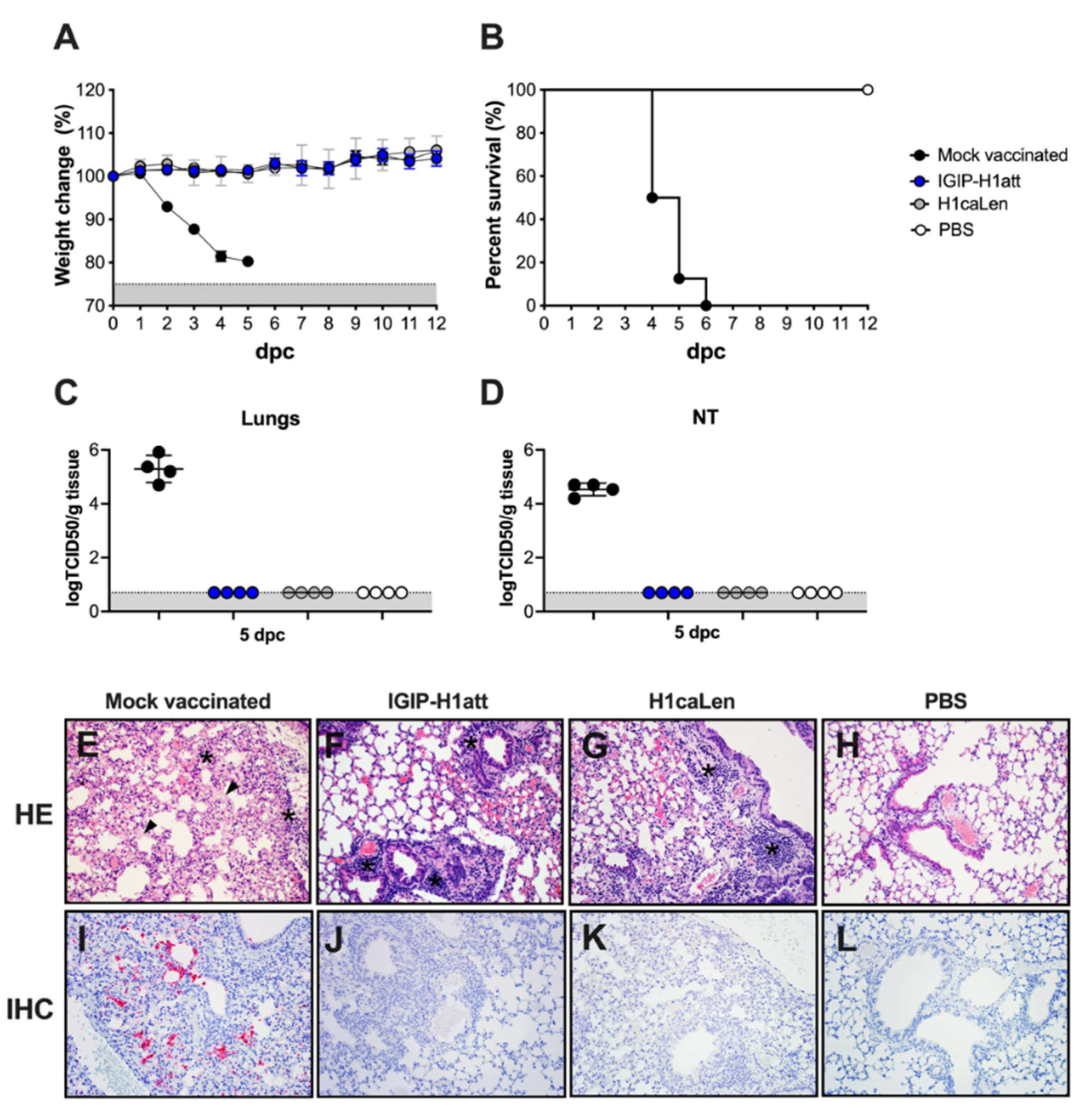 Vaccines 09 00703 g003 550