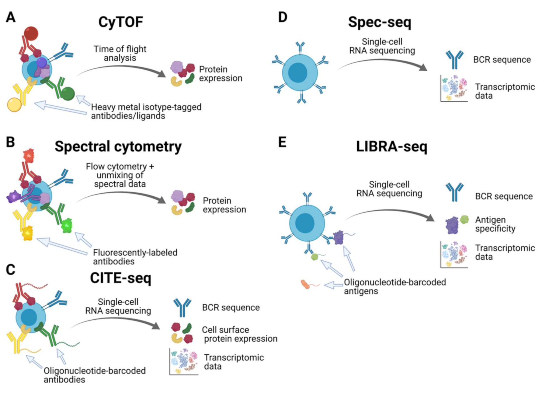 Vaccines 09 00711 g001 550
