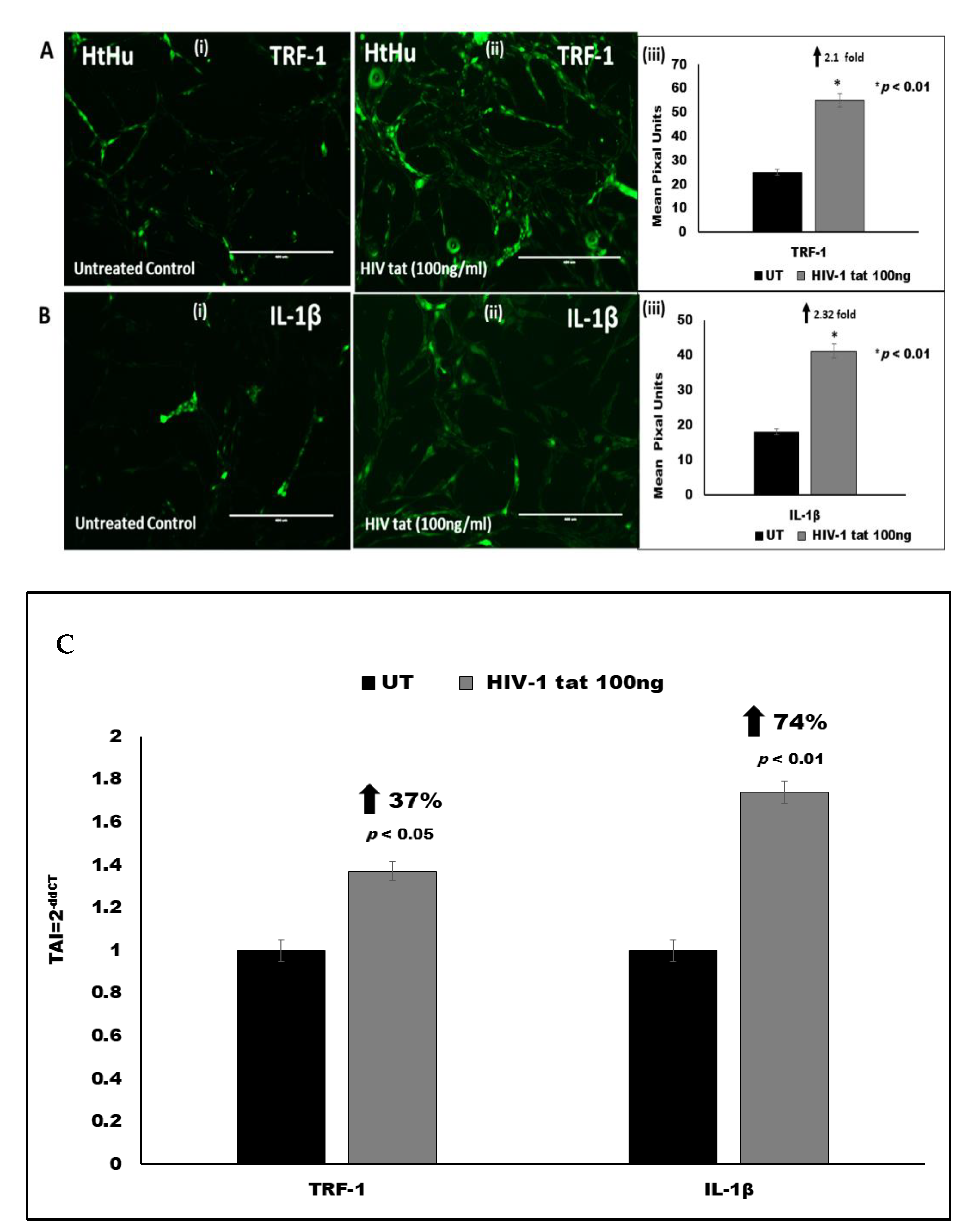 Vaccines 09 00721 g004 Vaccines 09 00721 g004