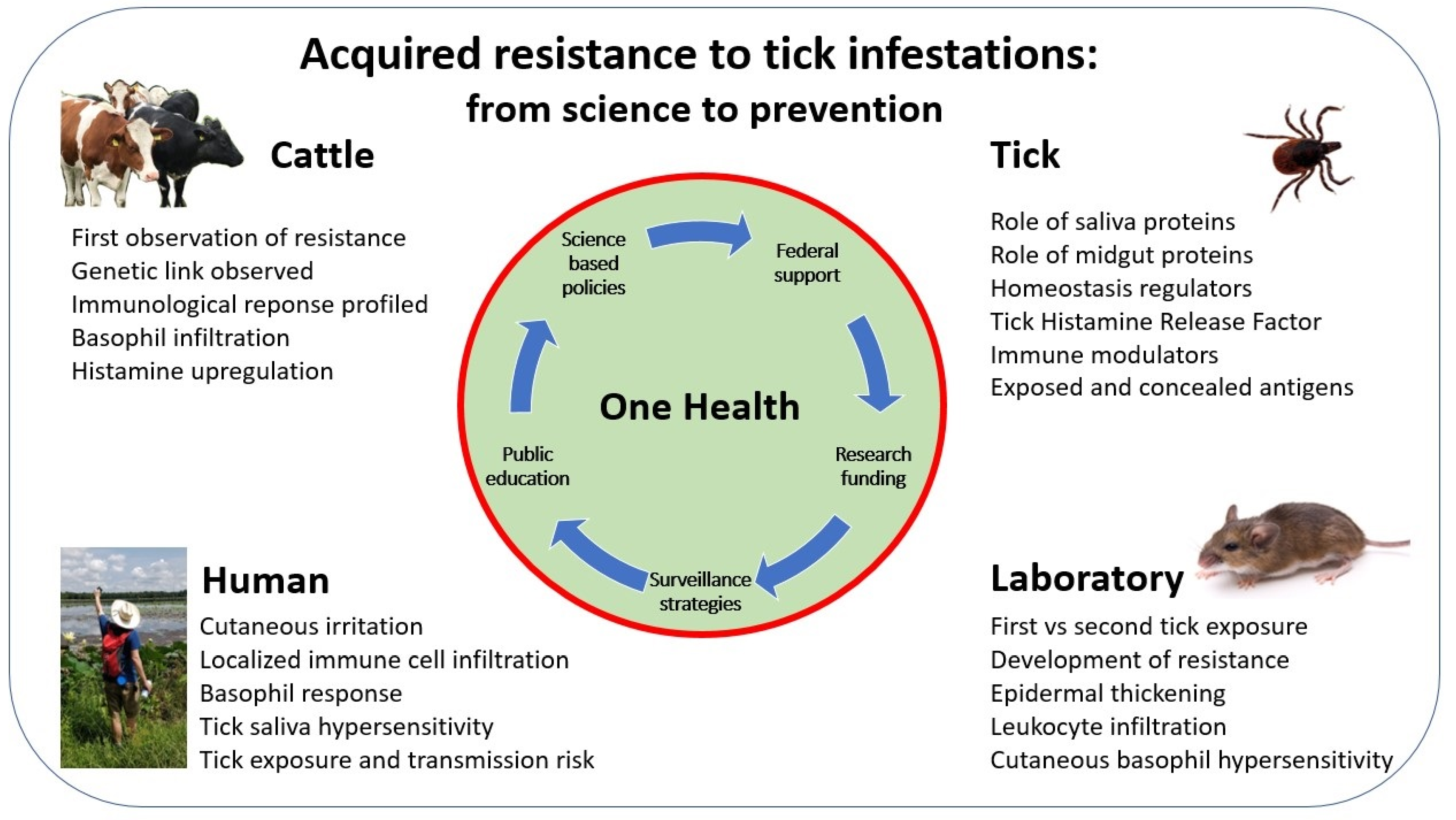 A Staph Vaccine Trial Failure Shows Challenges of Stopping Common Bugs