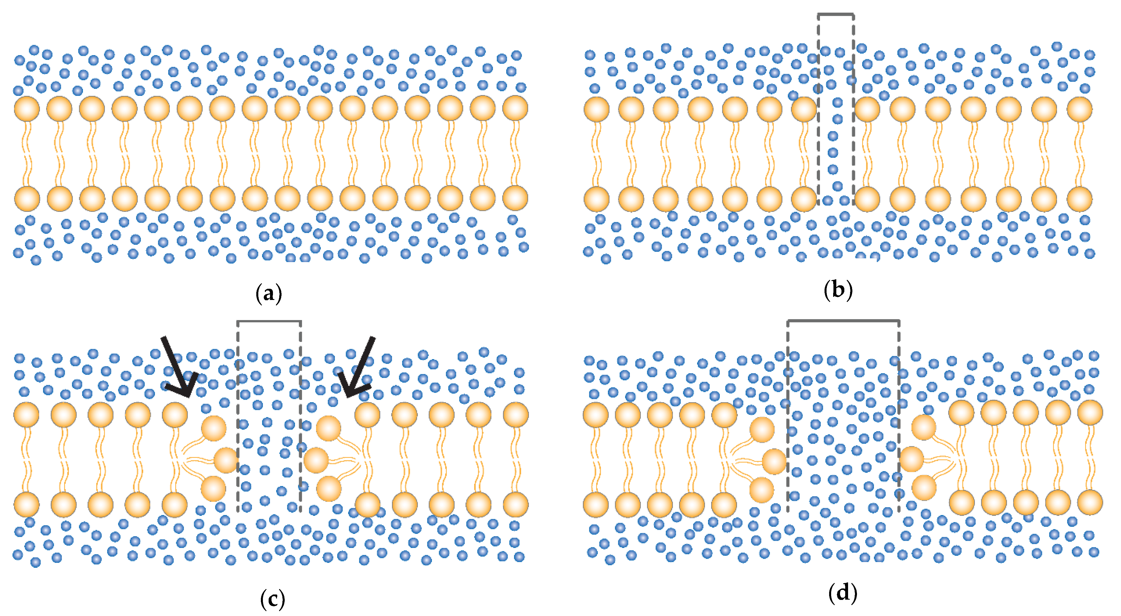 Vaccines 09 00727 g001 Vaccines 09 00727 g001