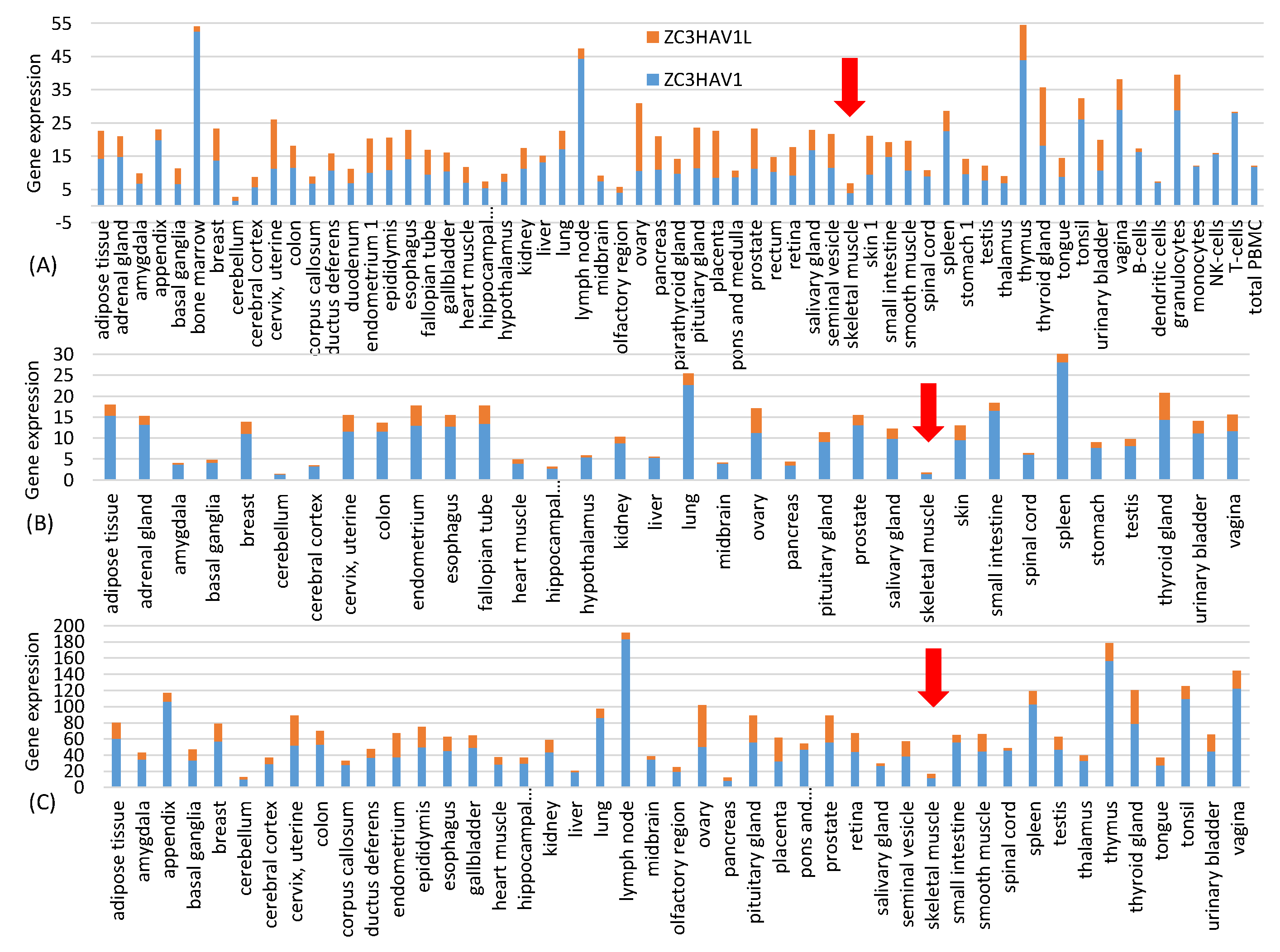 Vaccines 09 00734 g001 550