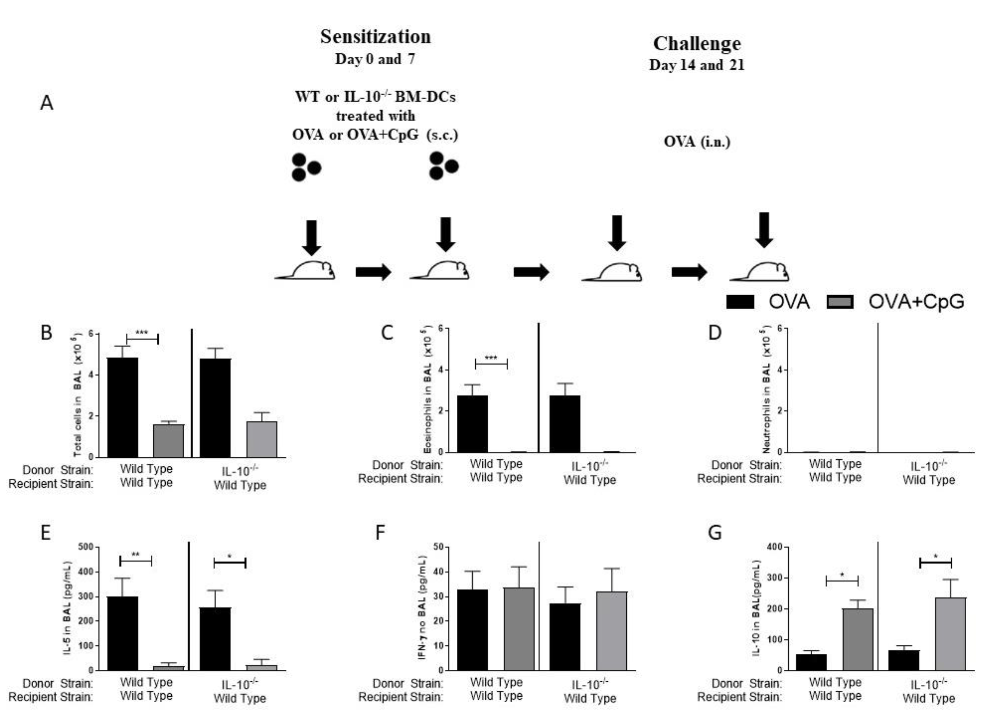 Vaccines 09 00743 g004 550