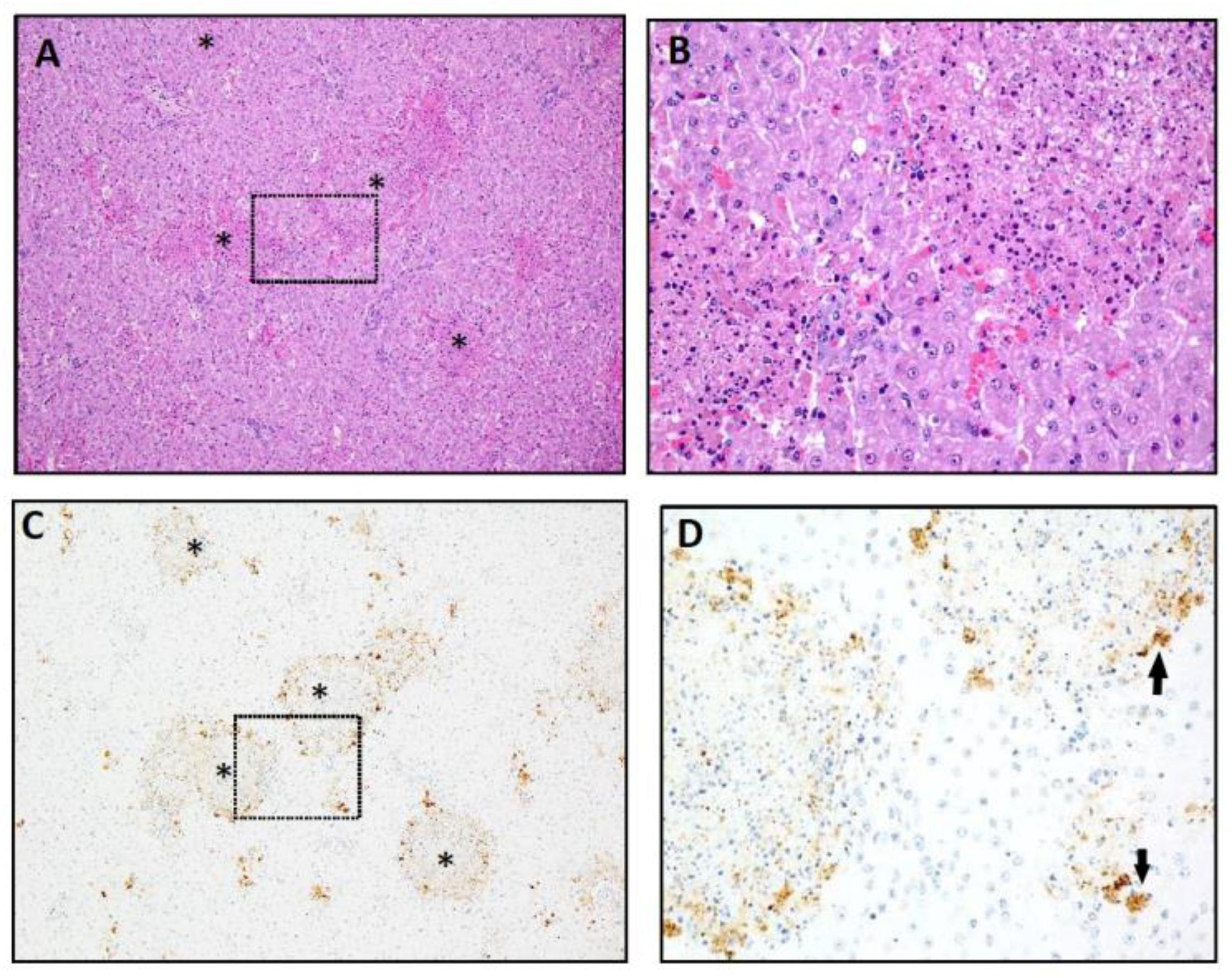 Vaccines 09 00748 g006 550