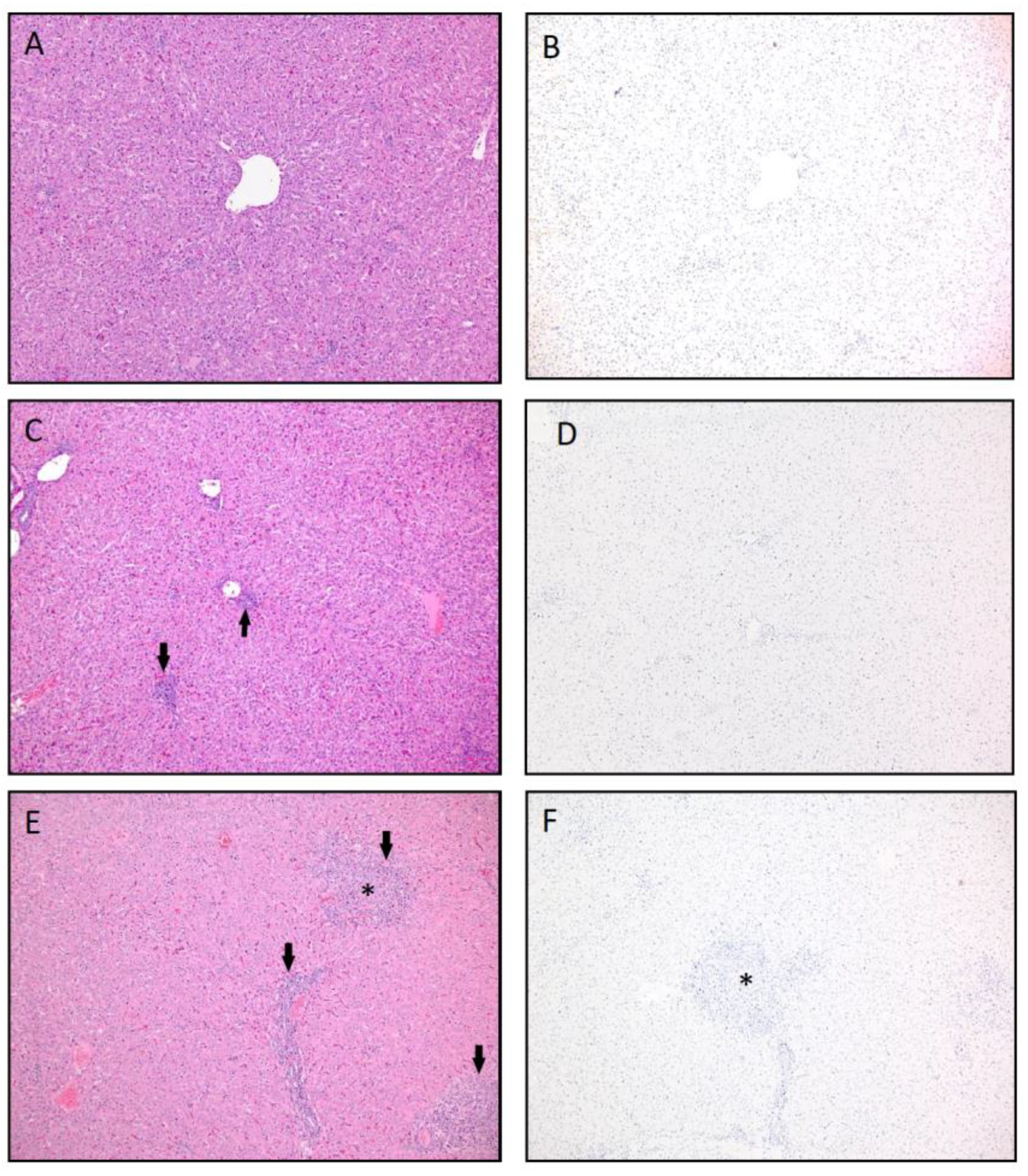 Vaccines 09 00748 g007 550