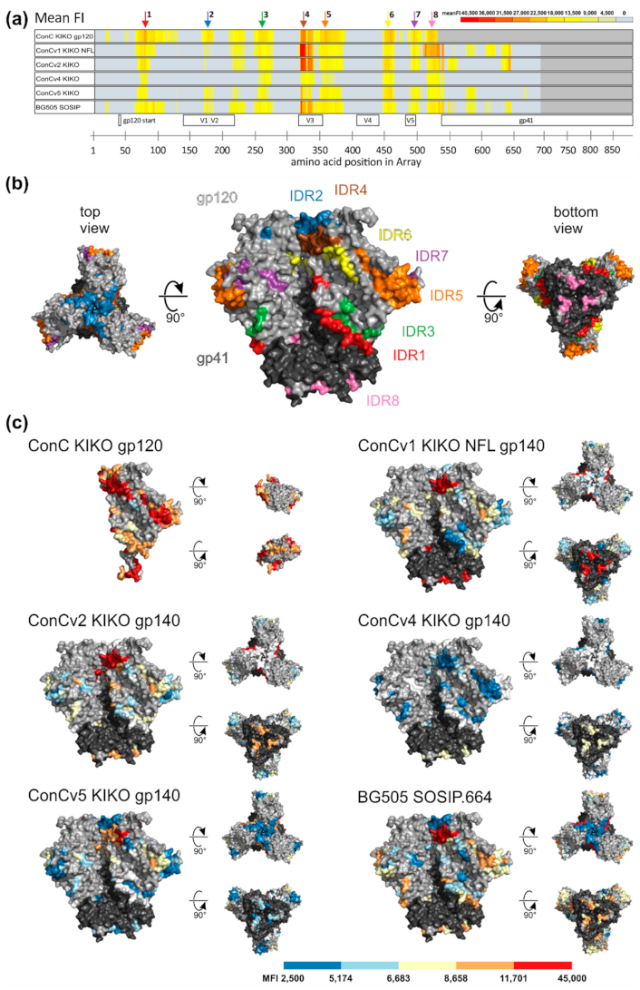 Vaccines 09 00750 g005 550