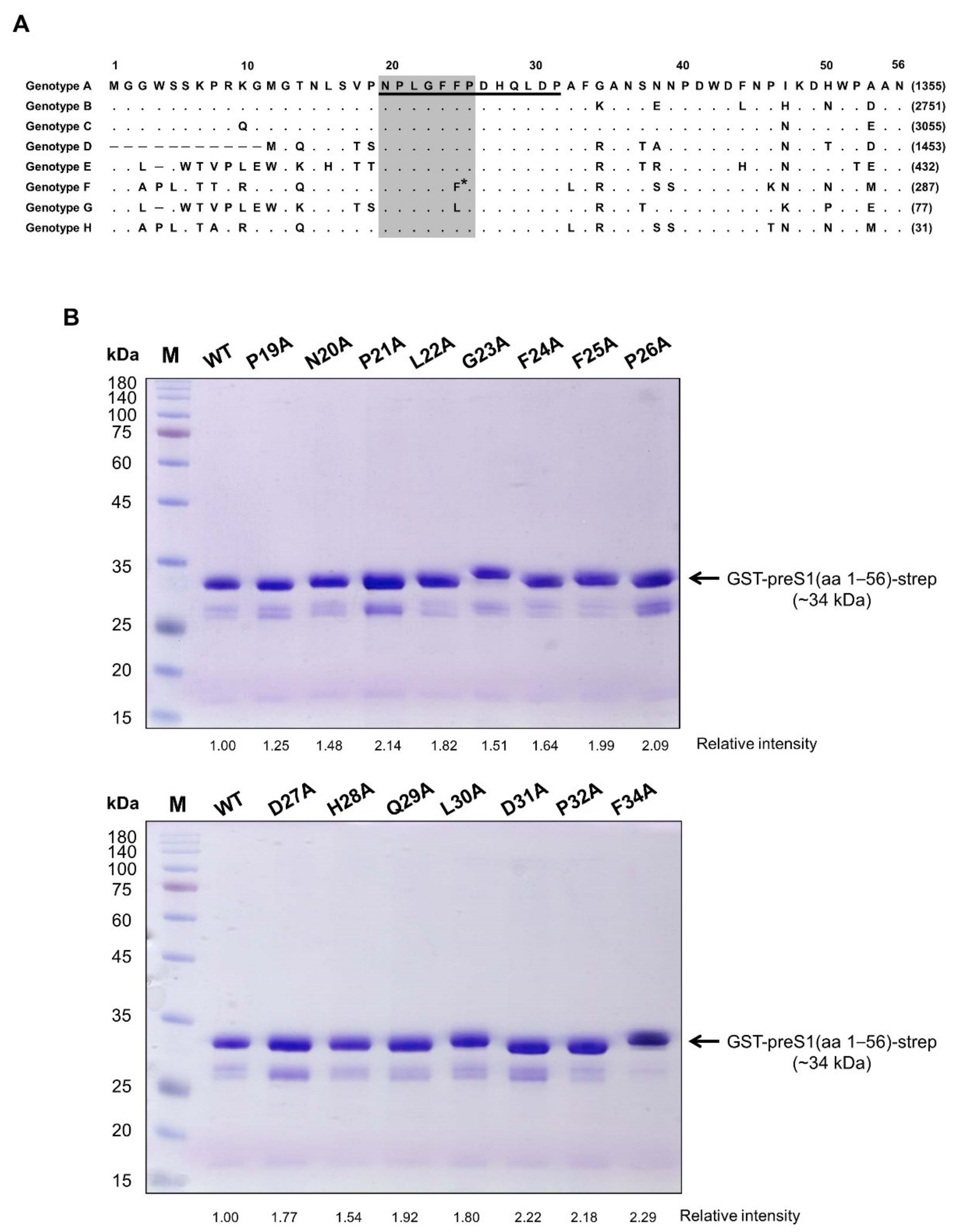 Vaccines 09 00754 g001