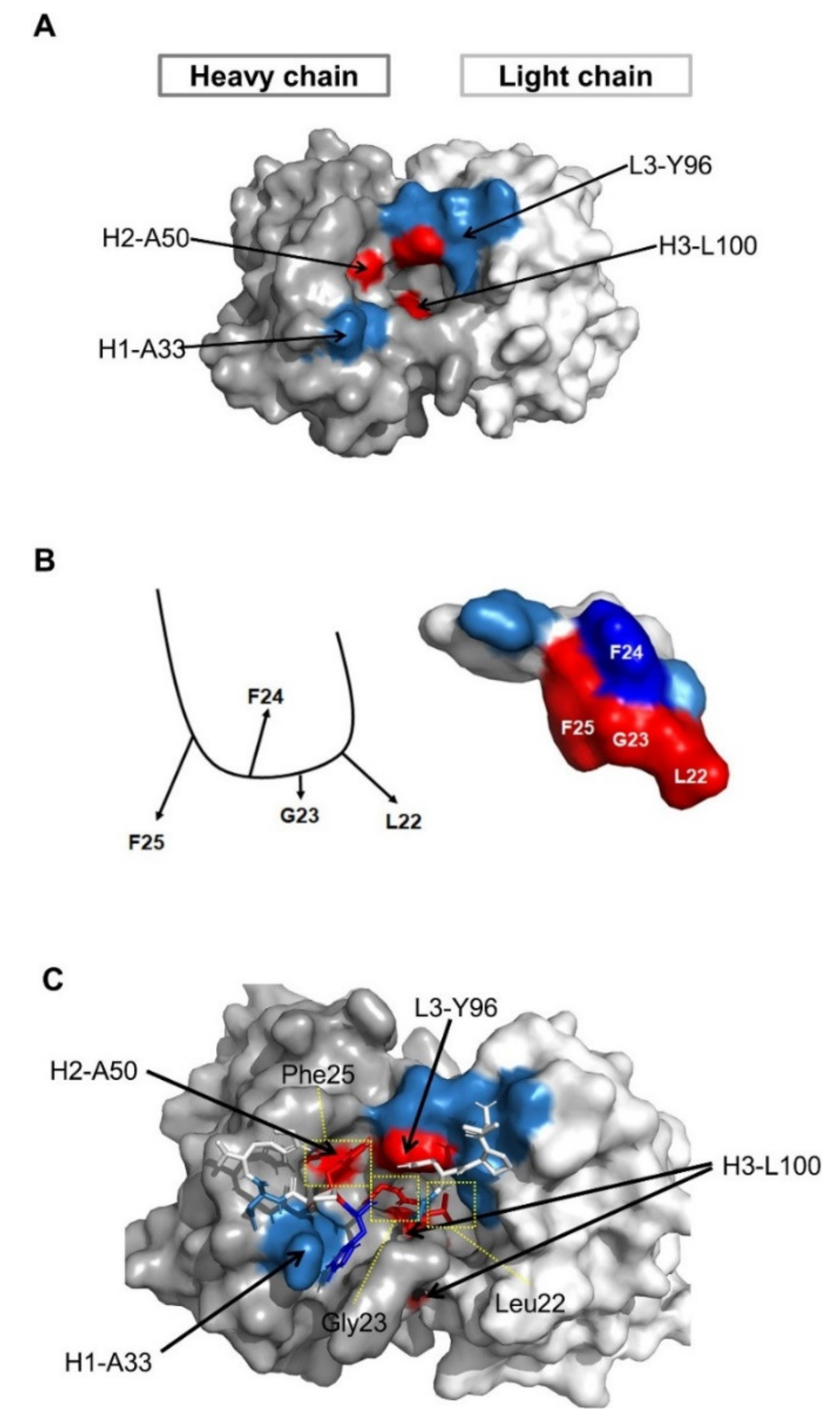 Vaccines 09 00754 g005