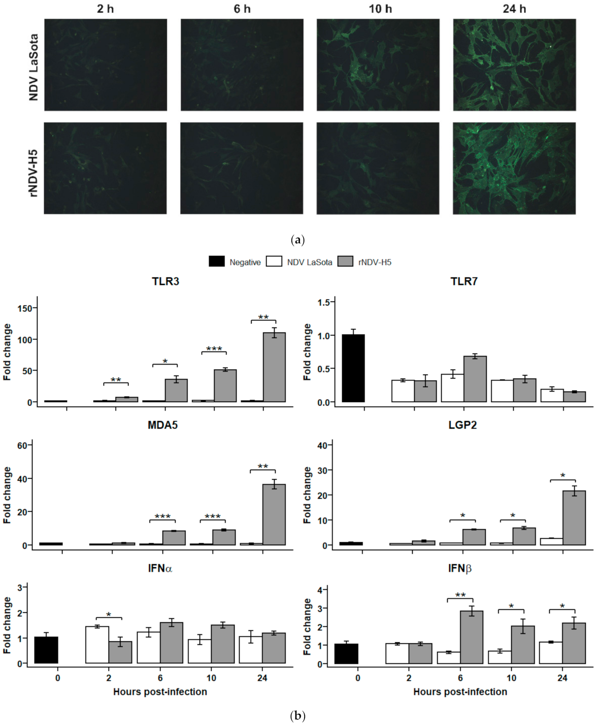 Vaccines 09 00758 g003 Vaccines 09 00758 g003