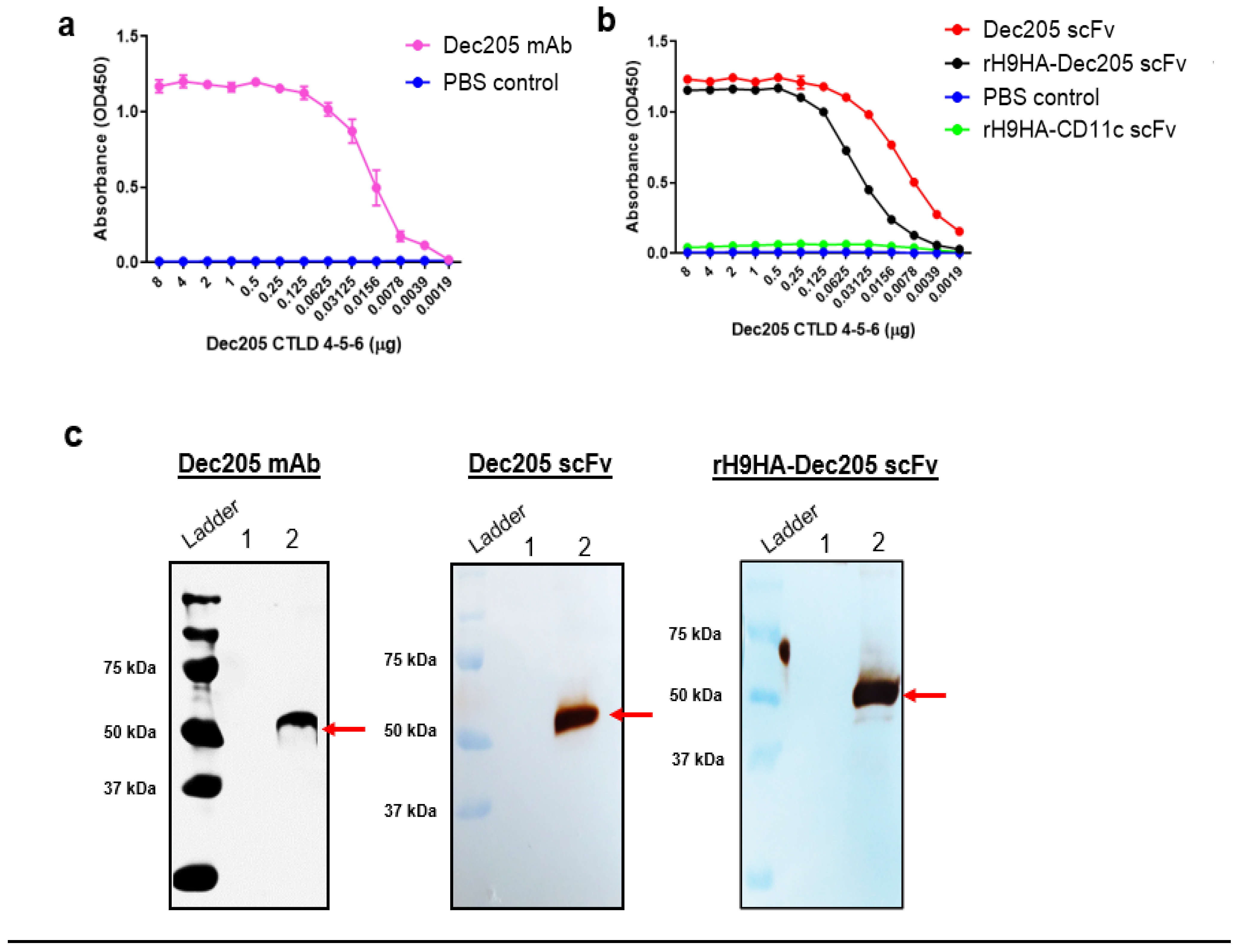 Vaccines 09 00784 g003