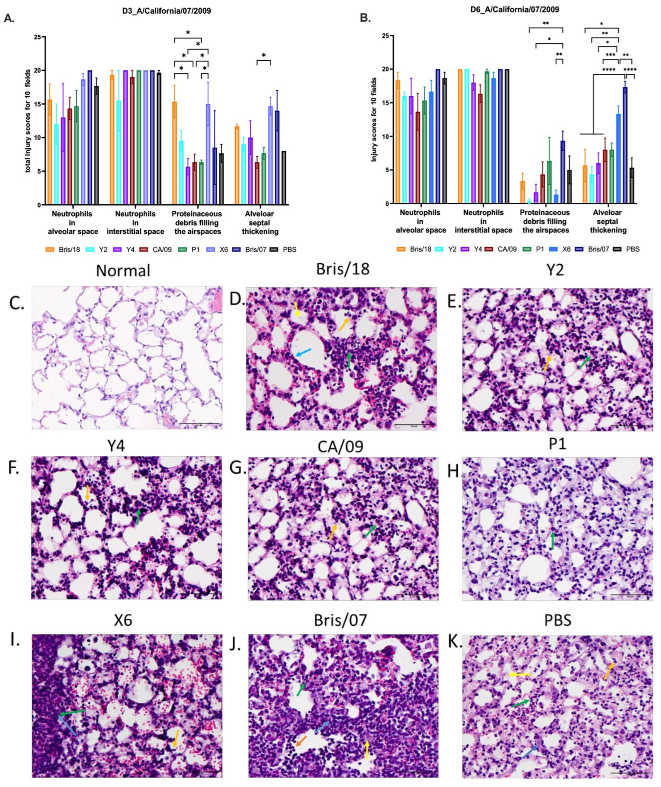 Vaccines 09 00793 g006 Vaccines 09 00793 g006