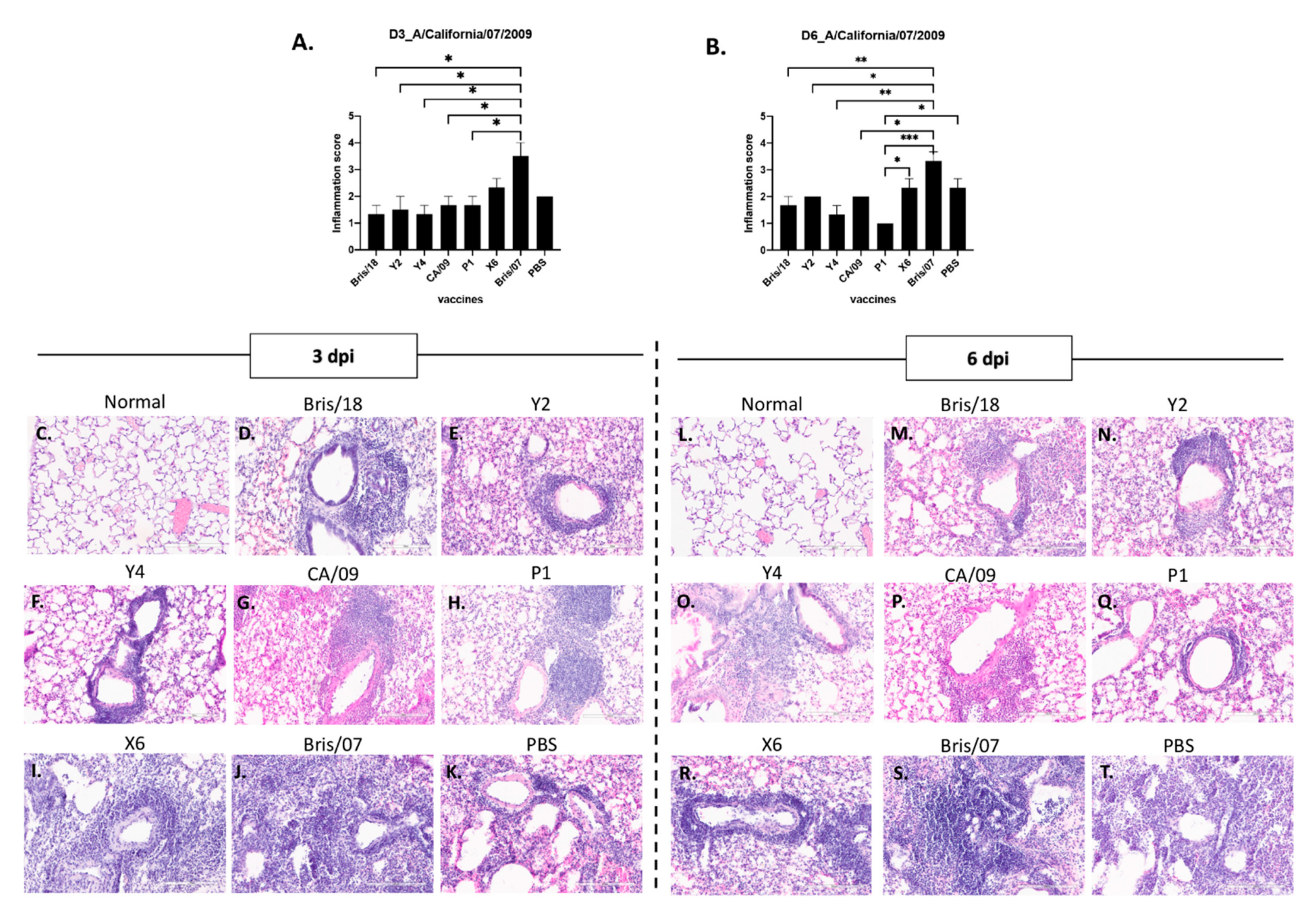 Vaccines 09 00793 g007 Vaccines 09 00793 g007