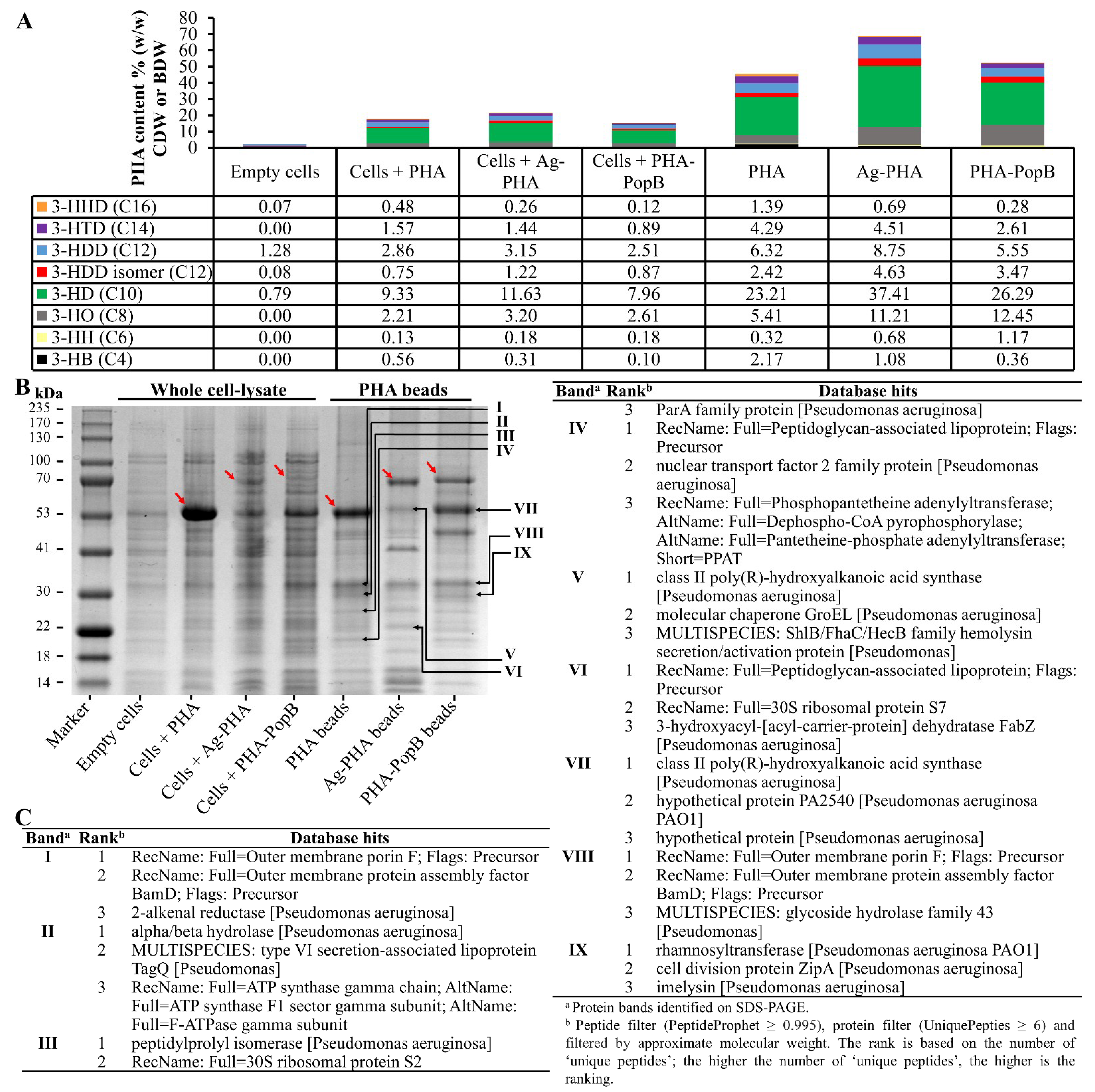 Vaccines 09 00803 g003 550