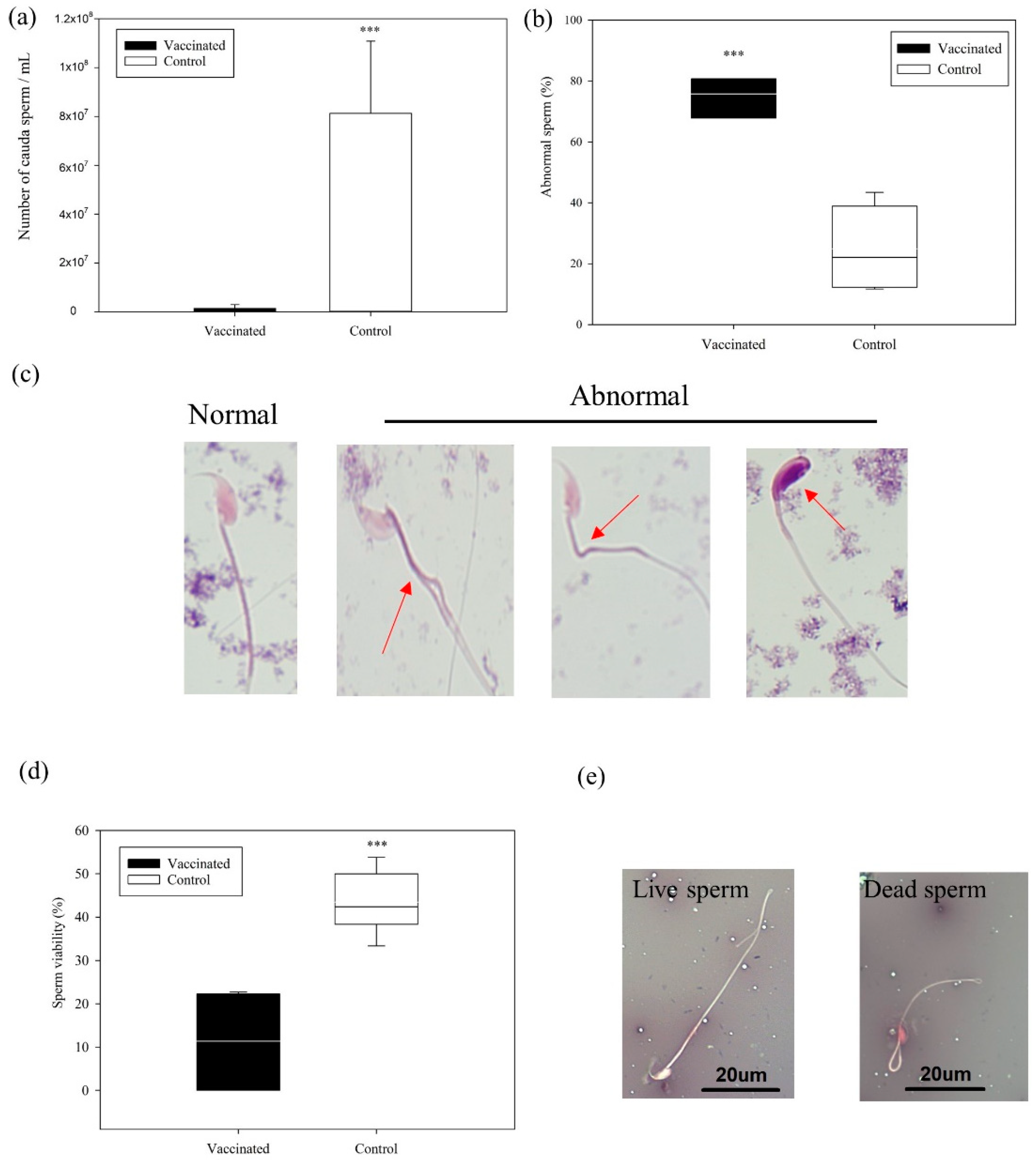 Vaccines 09 00808 g005 550