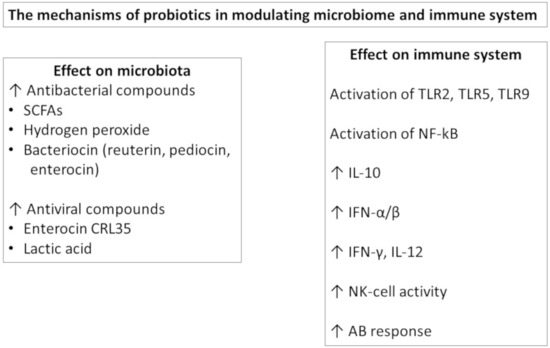 Vaccines Free Full Text Probiotics As Adjuvants In Vaccine Strategy Is There More Room For Improvement Html