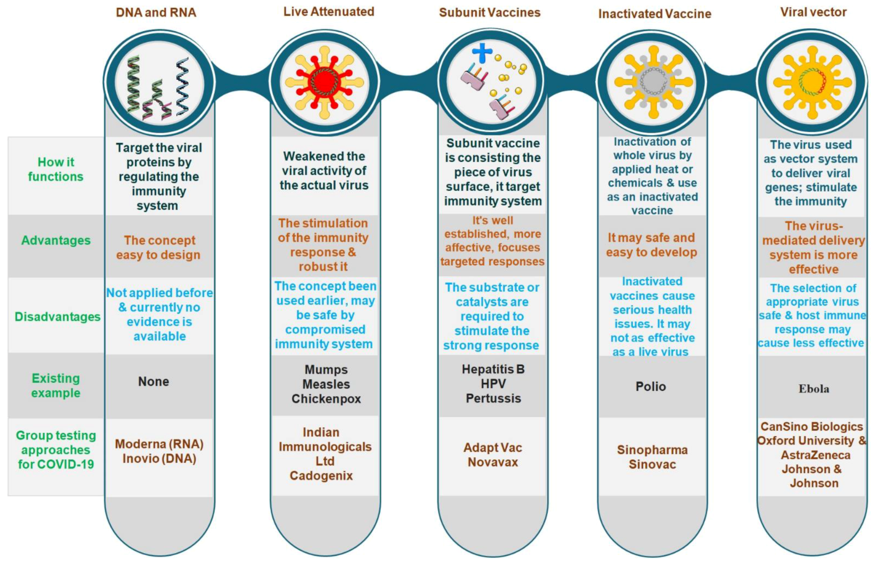 Vaccines 09 00812 g003 550