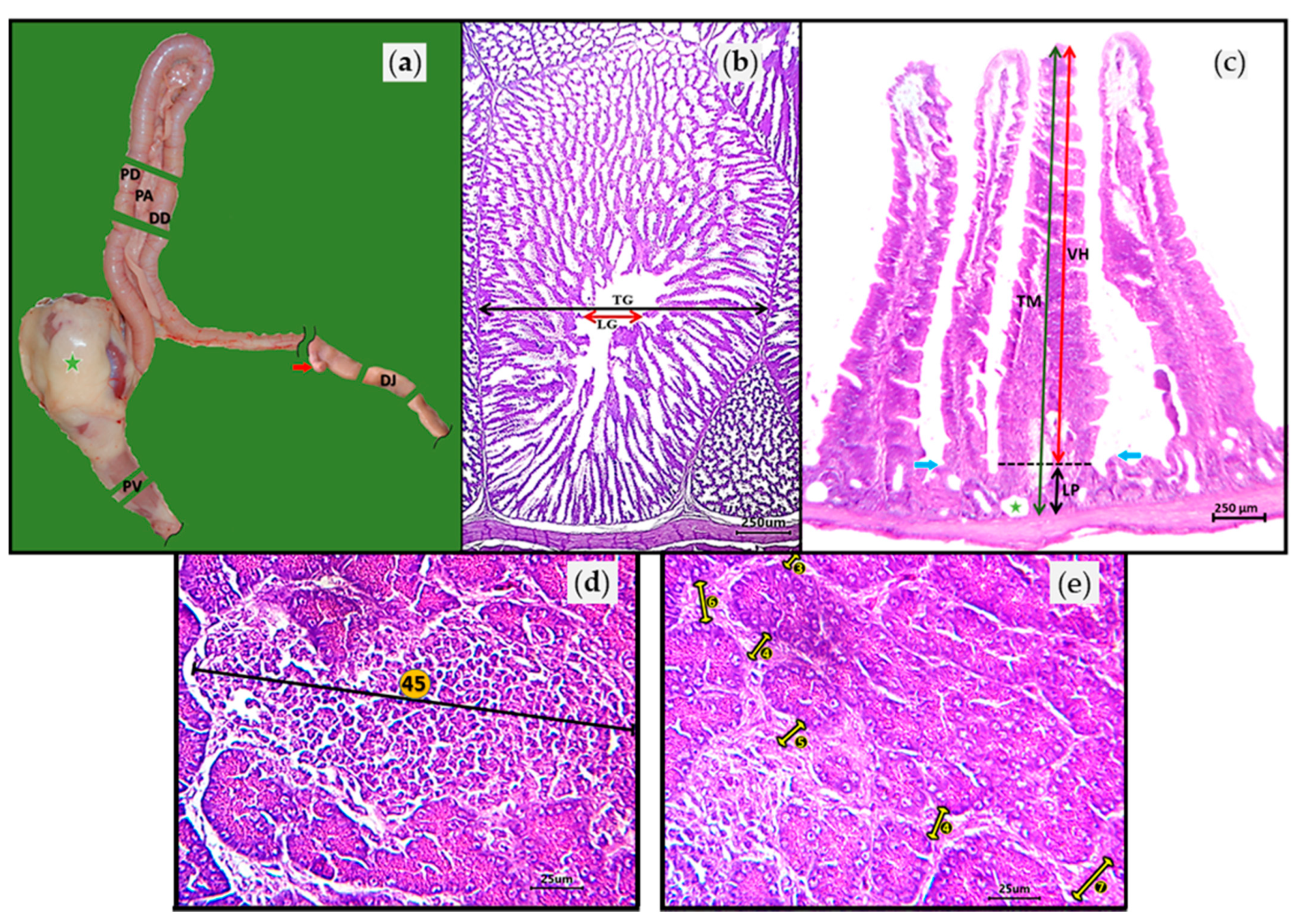 Vaccines 09 00817 g002