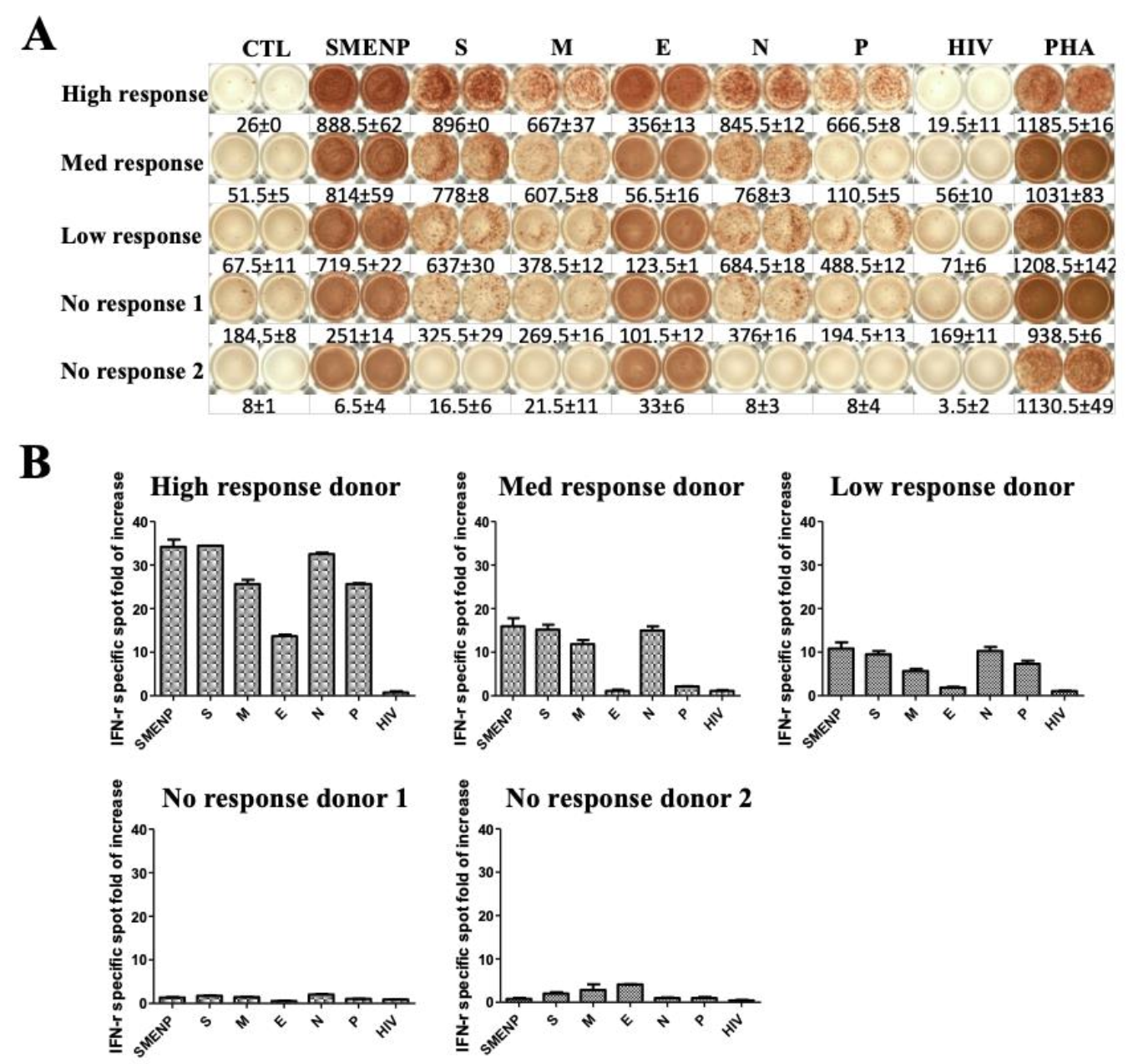 Vaccines 09 00827 g003 550