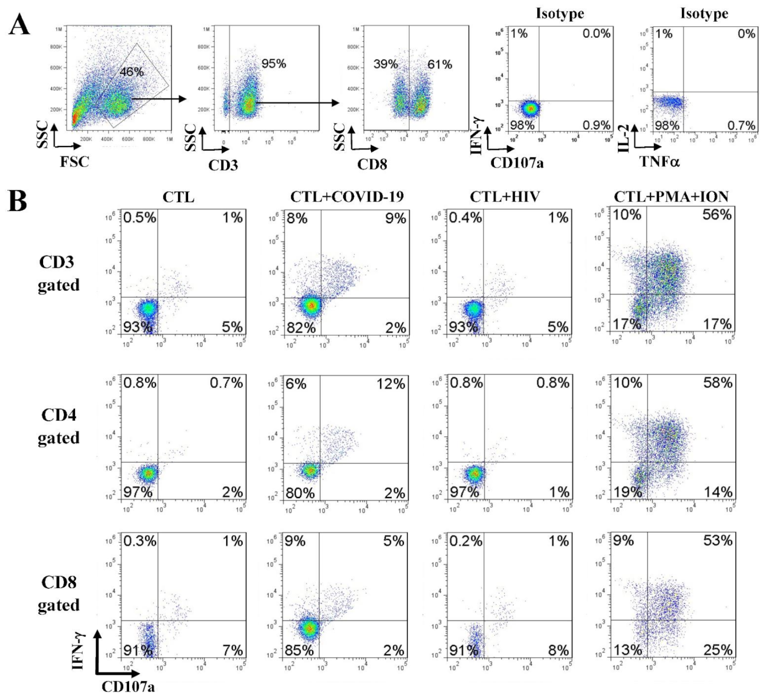 Vaccines 09 00827 g005a 550