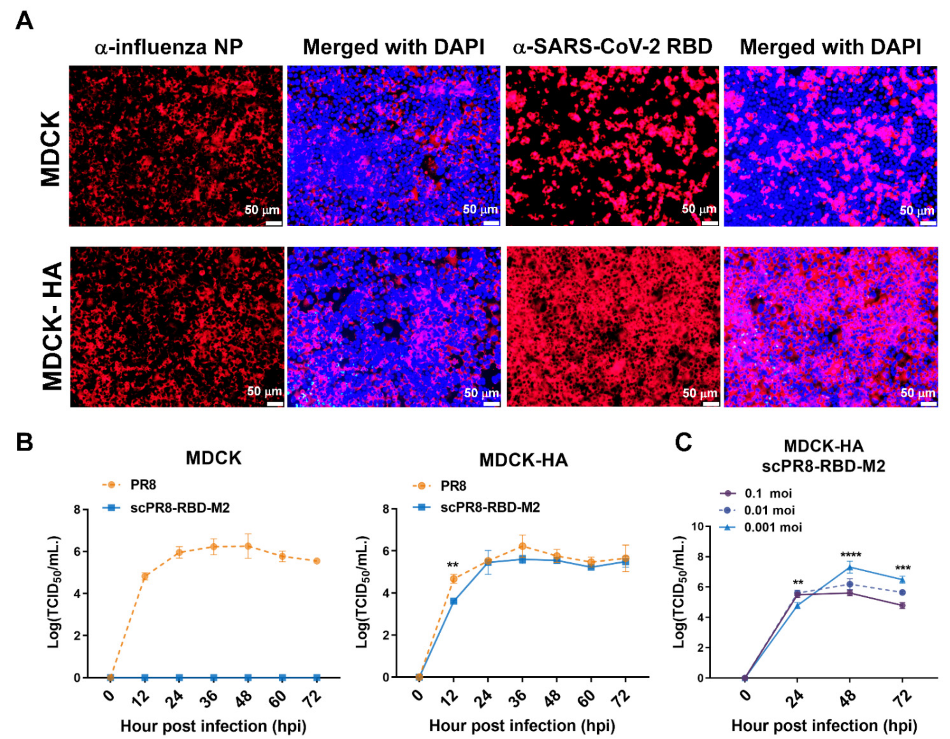 Vaccines 09 00850 g002 550