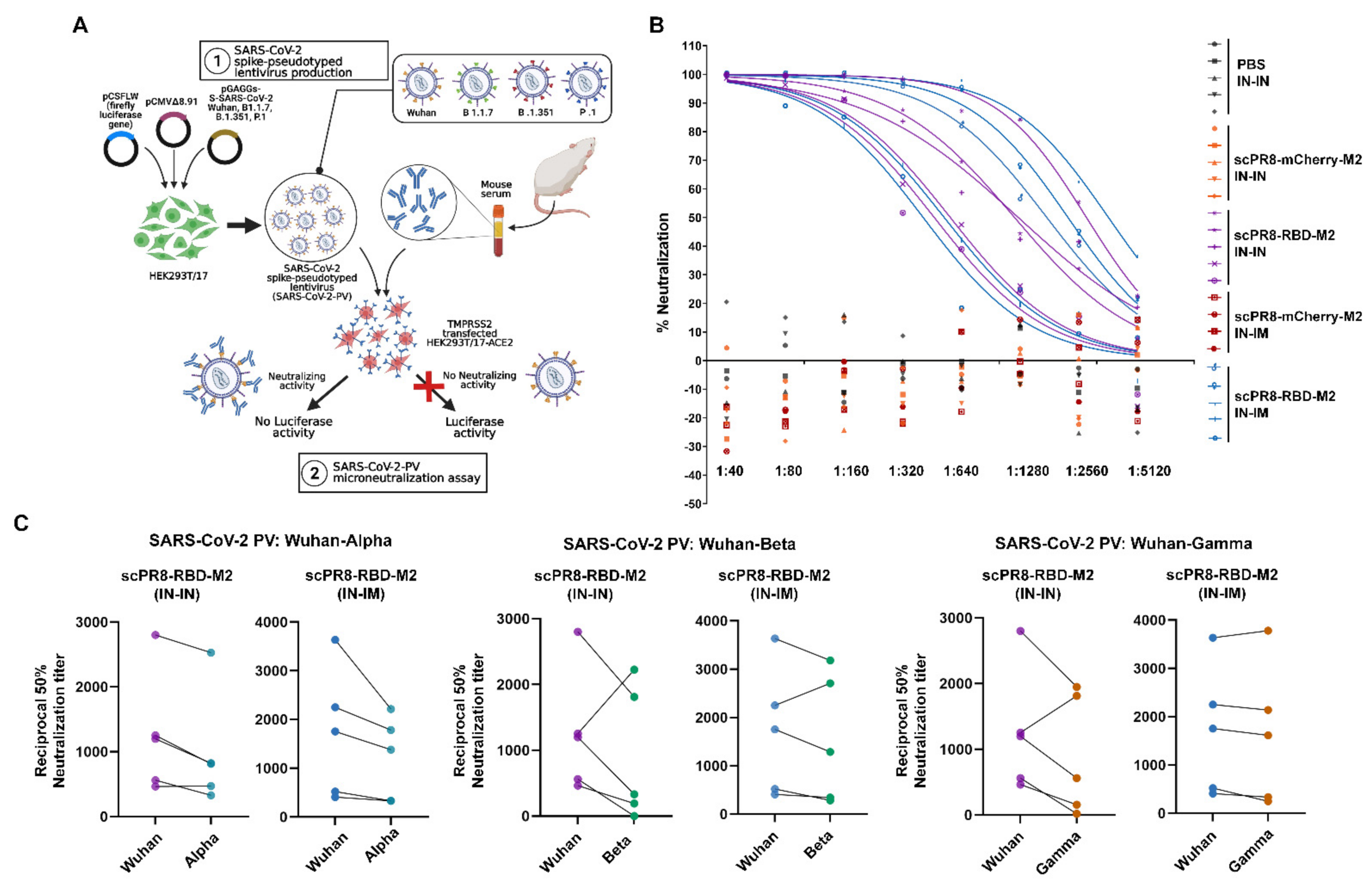 Vaccines 09 00850 g006 550