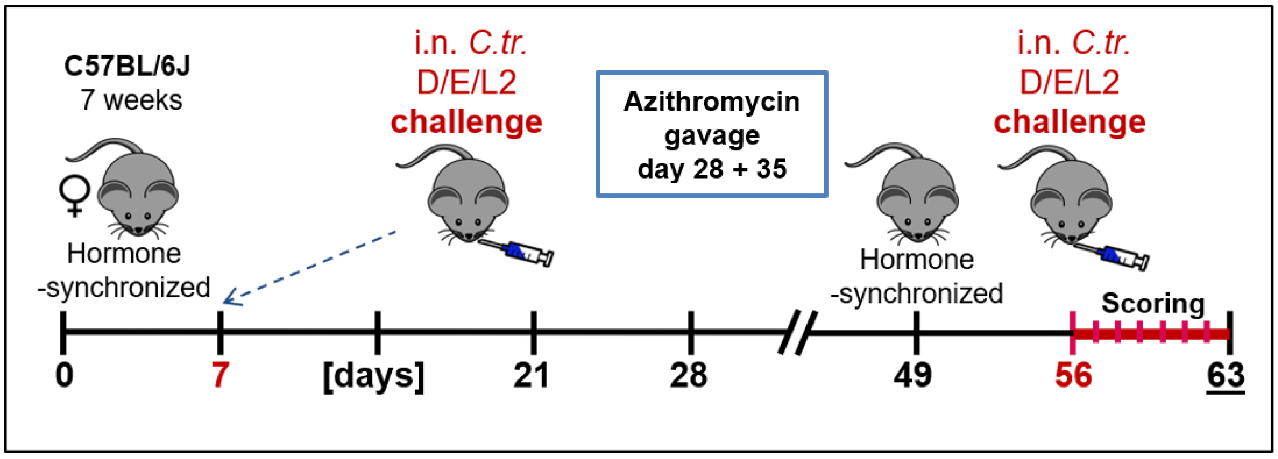 Vaccines 09 00871 g001 550