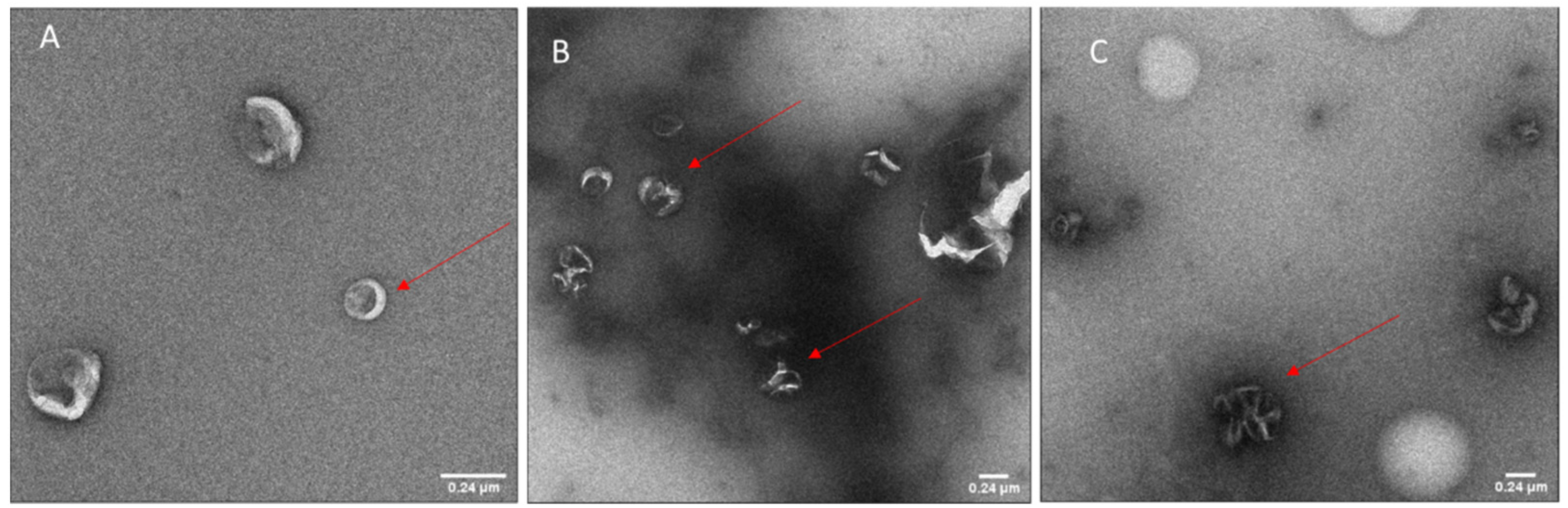 Vaccines 09 00874 g001 550