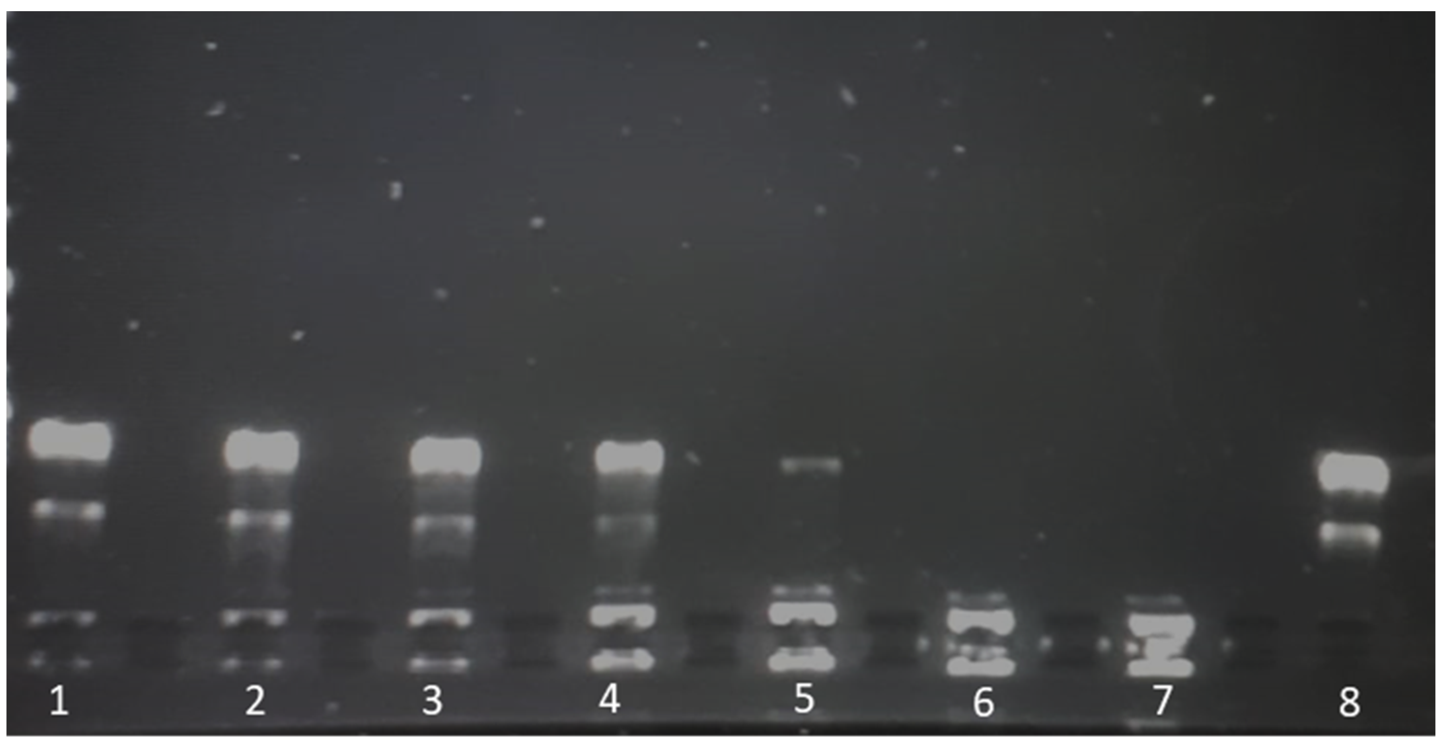 Vaccines 09 00874 g005 550