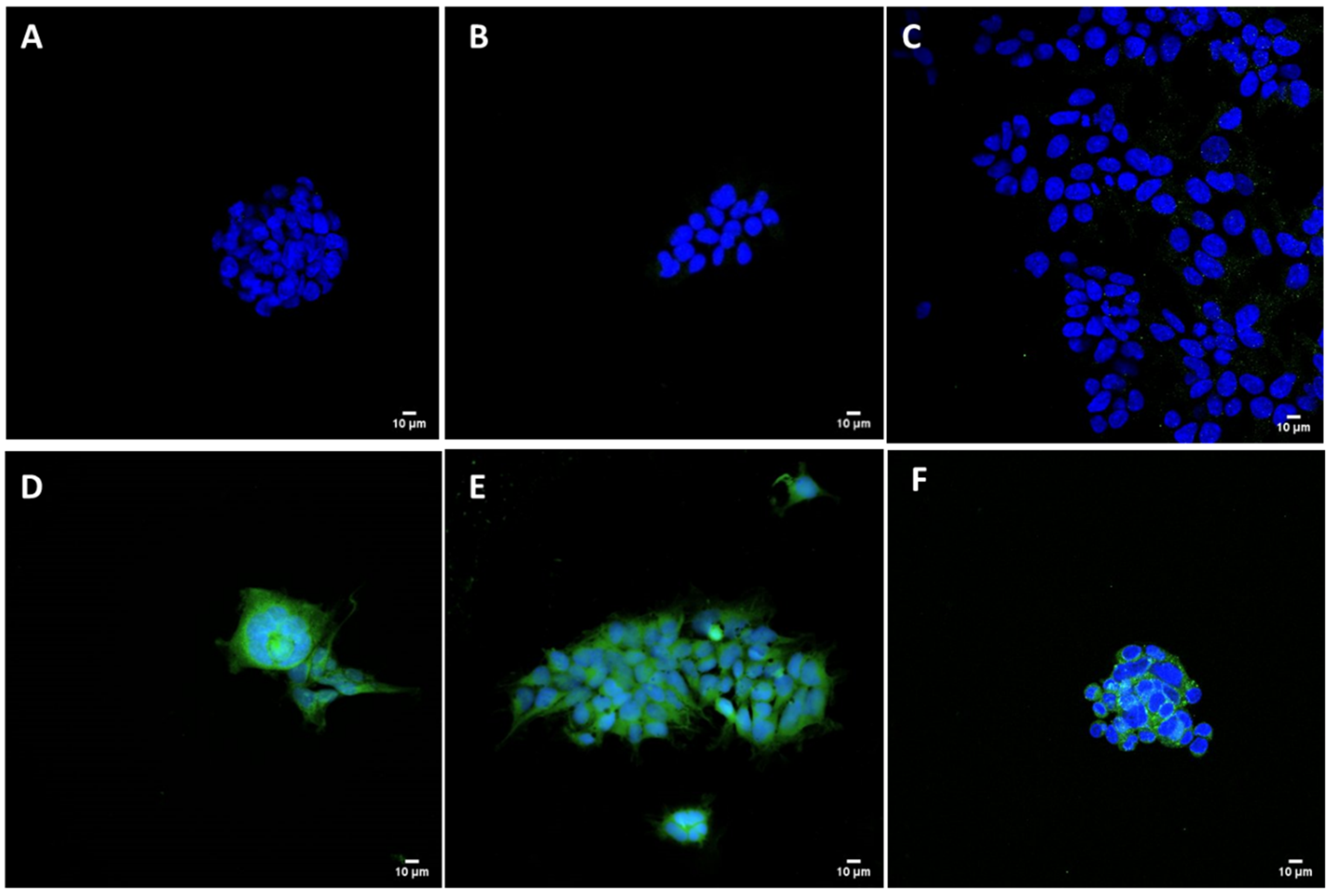 Vaccines 09 00874 g008 550