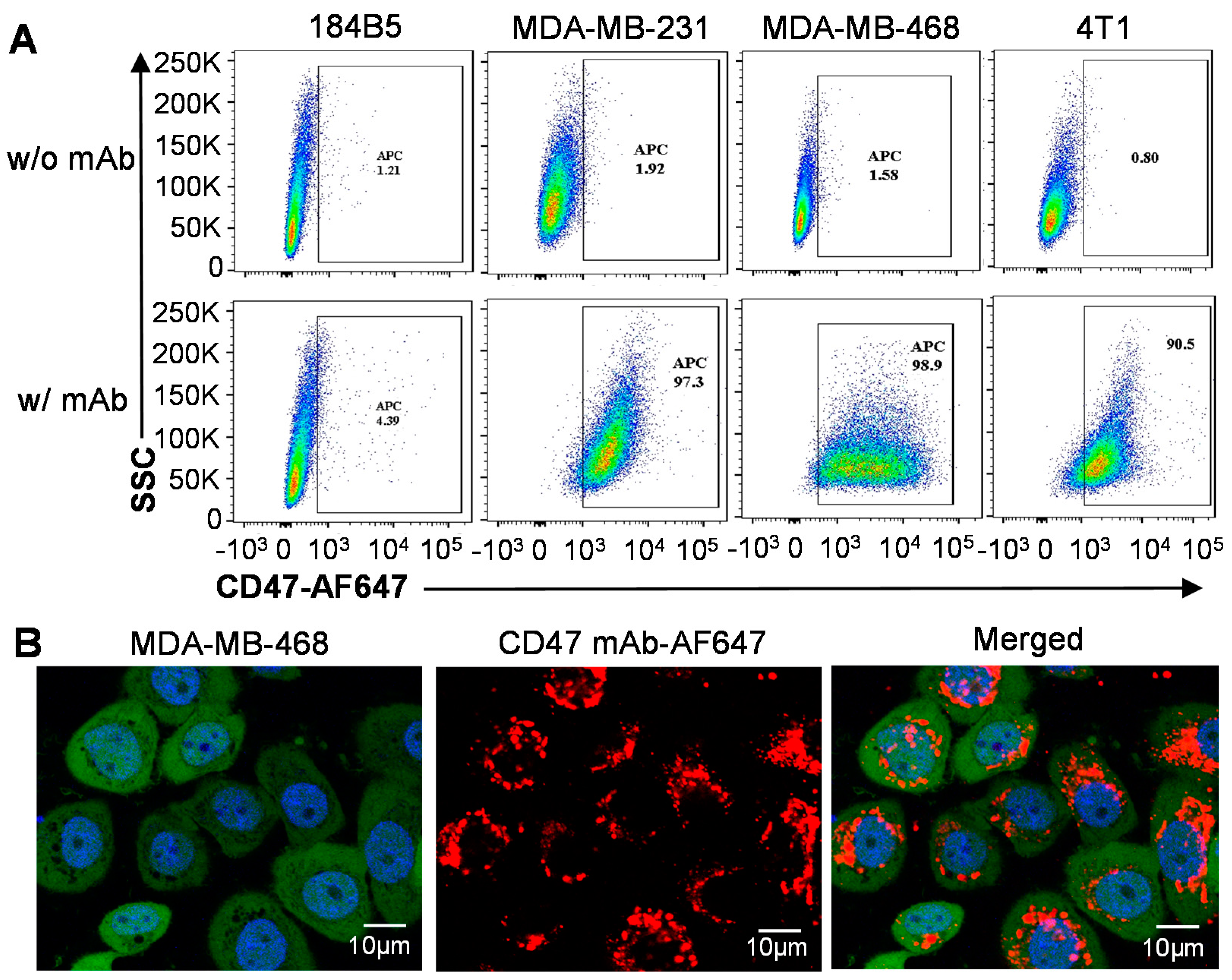 Vaccines 09 00882 g003 550